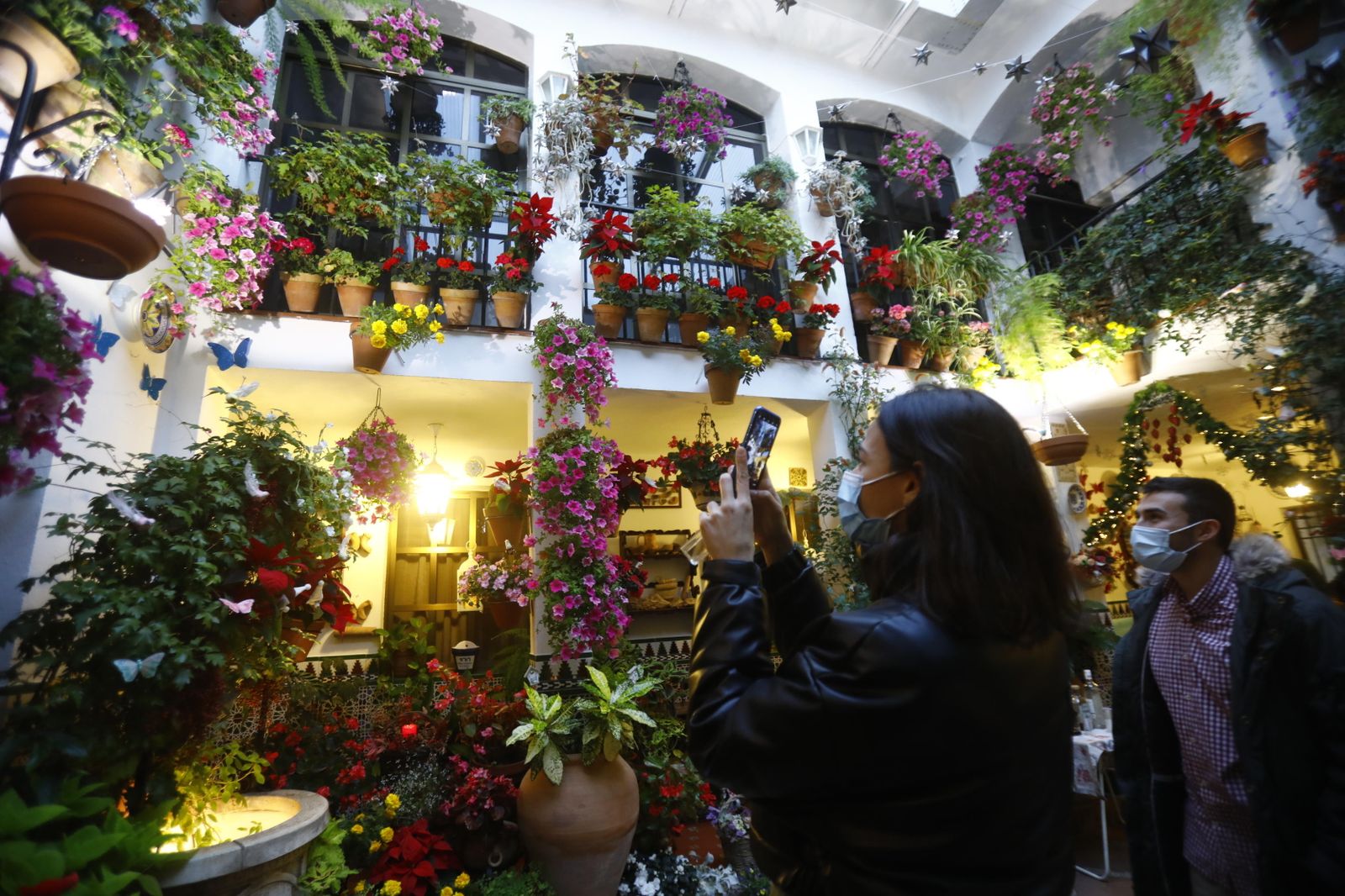 Las fotografías de los Patios de Córdoba en Navidad