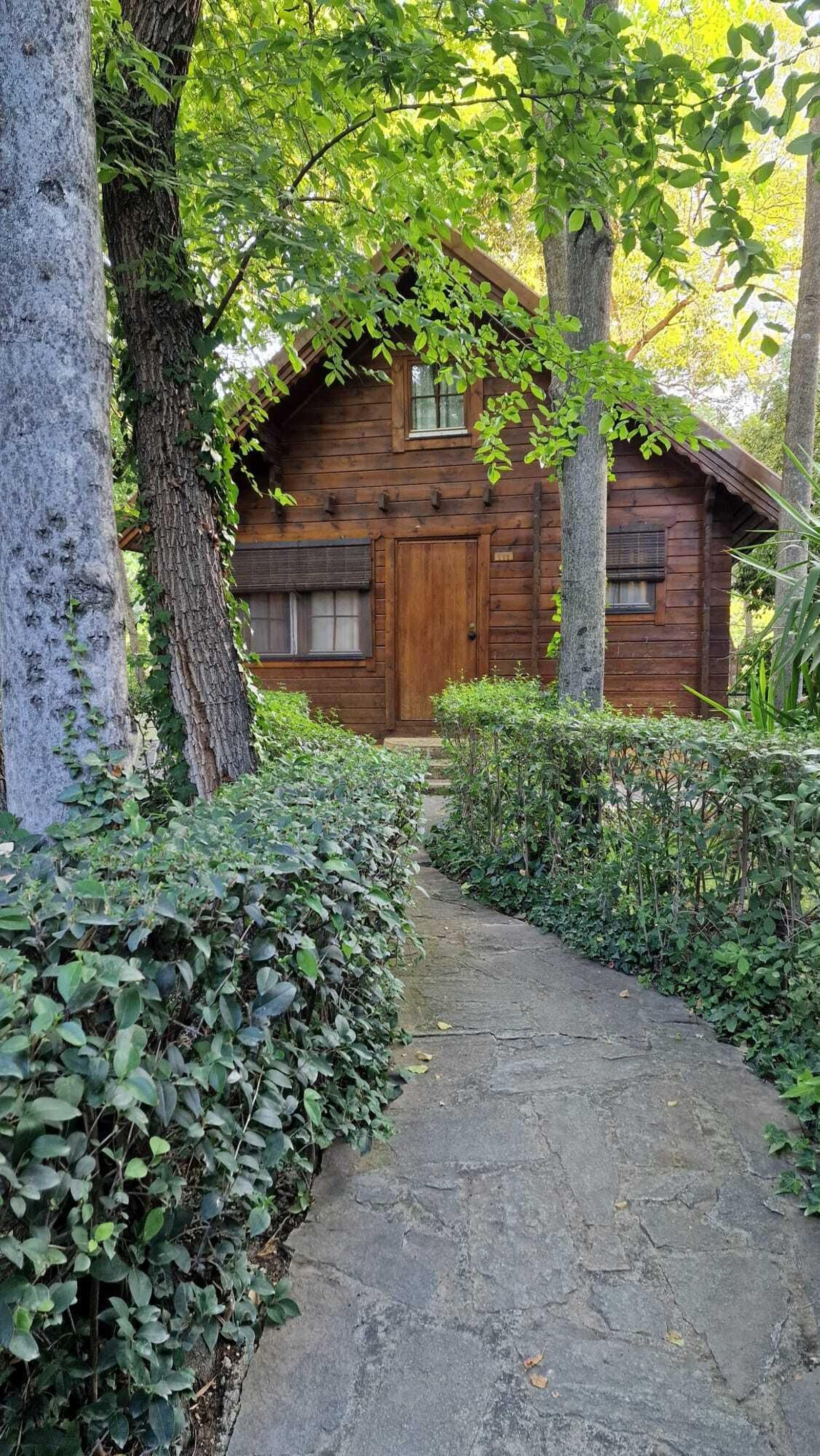 Camino de entrada a una de las cabañas donde te puedes alojar.