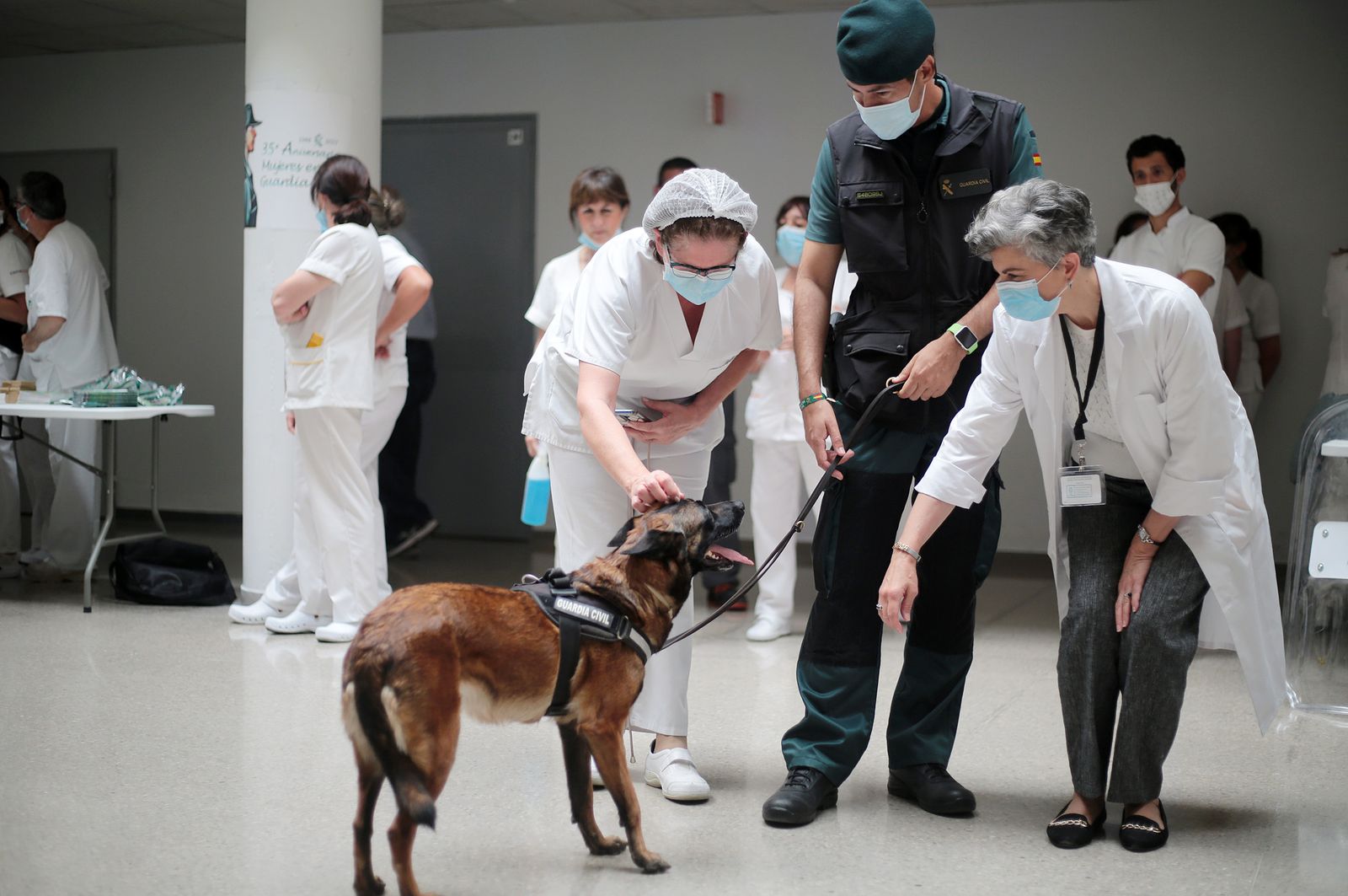 Imágenes de la exhibición de la Guardia Civil en el Hospital Juan Ramón Jiménez con motivo del 35 aniversario de la incorporación de la mujer