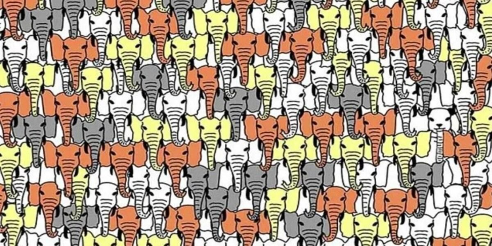 Encuentra al panda