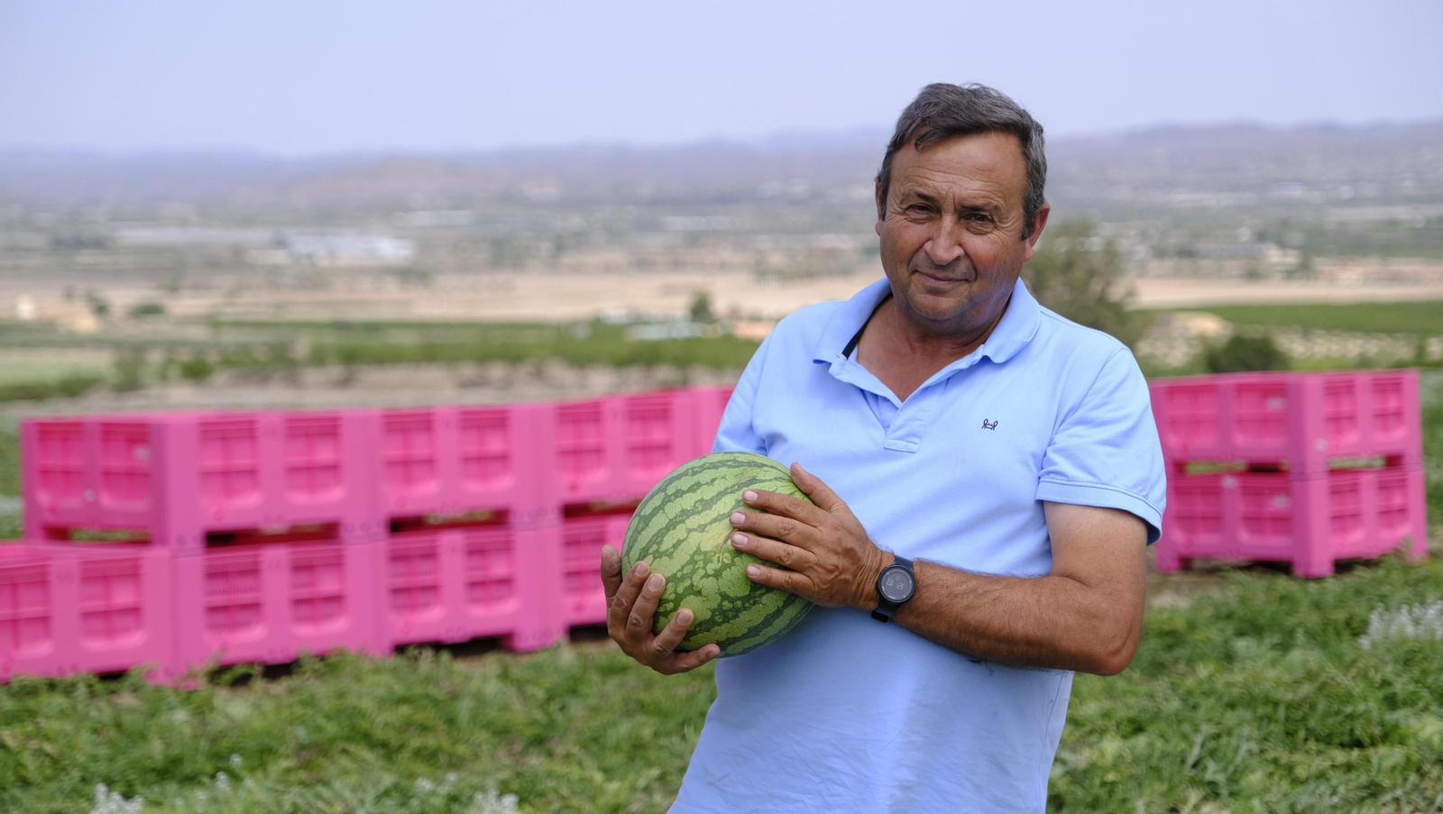 La sandía y el melón de Huércal Overa, manjares en imágenes