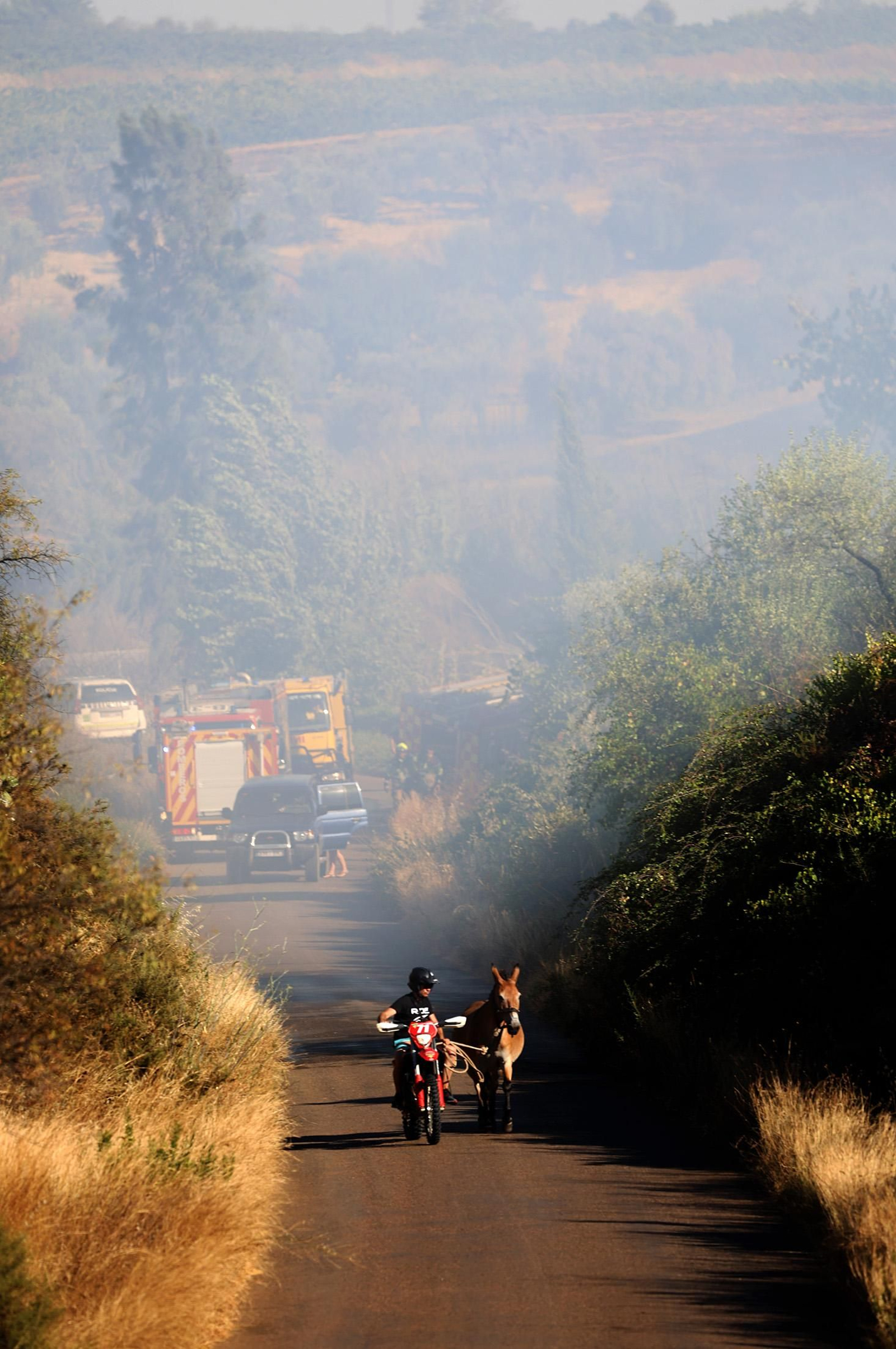 Imágenes del incendio en el Paraje del Arroyo de la Madreselva, en Bollullos par del Condado