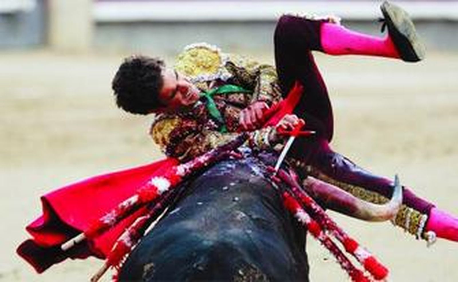 José Tomás en la tarde de su triunfo el pasado 6 de junio en Las Ventas.