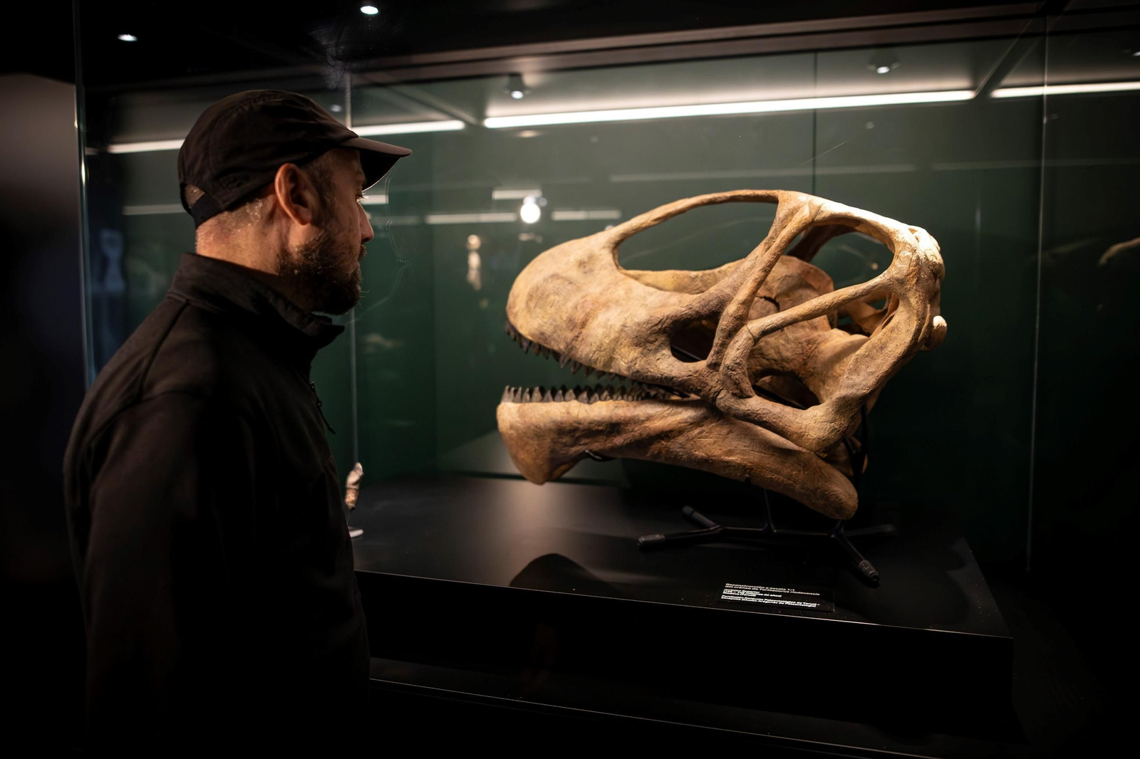 Así se han apoderado los dinosaurios del Parque de las Ciencias de Granada