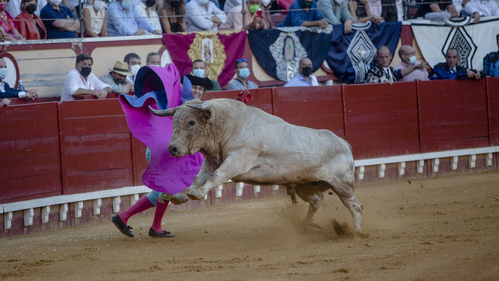 La corrida de toros en el Puerto de Santa María, con Morante de Puebla en solitario, en imágenes.