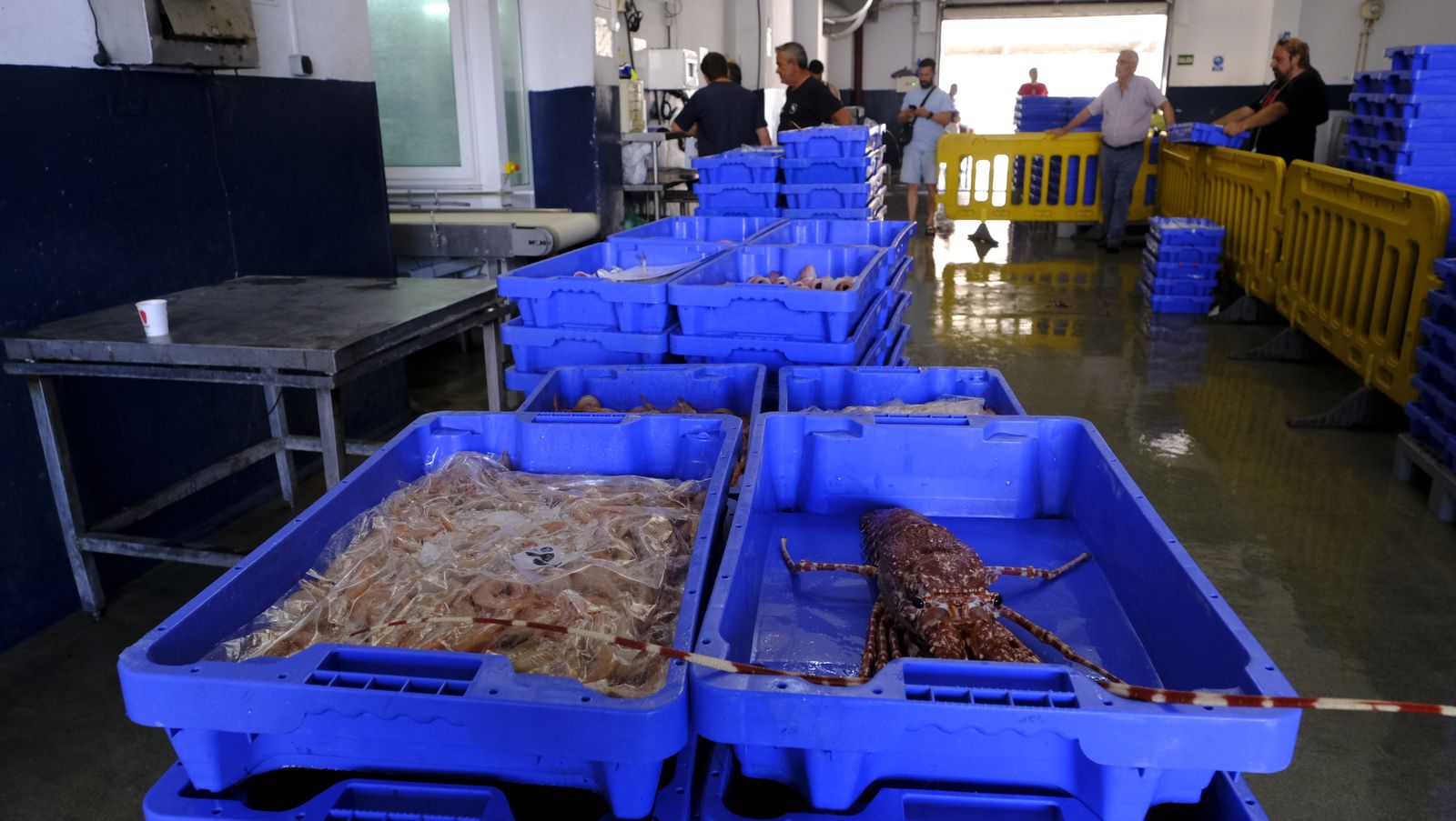 Imágenes de la visita guiada a la Lonja del Puerto Pesquero de Almería