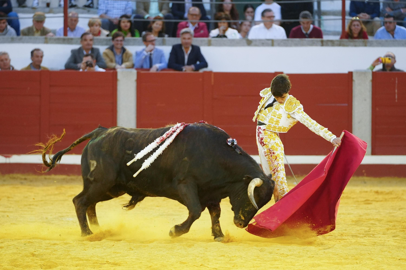 Las mejores imágenes de Manuel Román, El Fandi y Daniel Luque en Pozoblanco