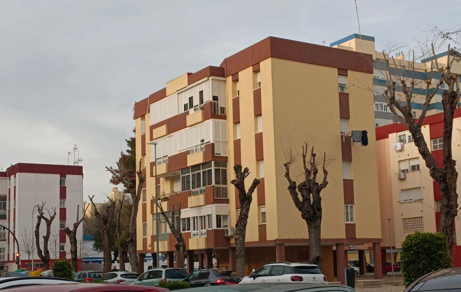 Árboles desmocahdos en la Baraada de la Paz.