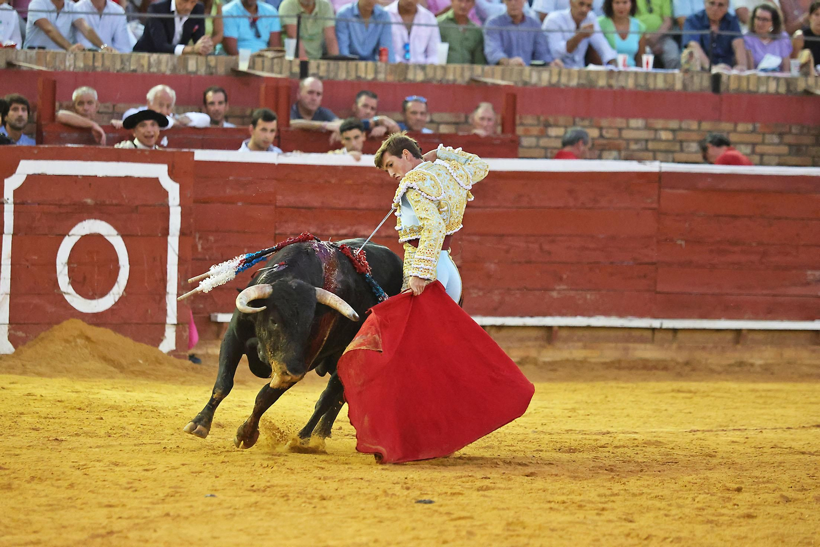 Toros La Merced 2024 Novillada con picadores(