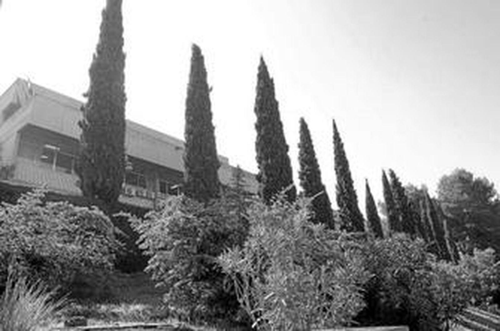 Facultad de Económicas, en el Campus de Cartuja.