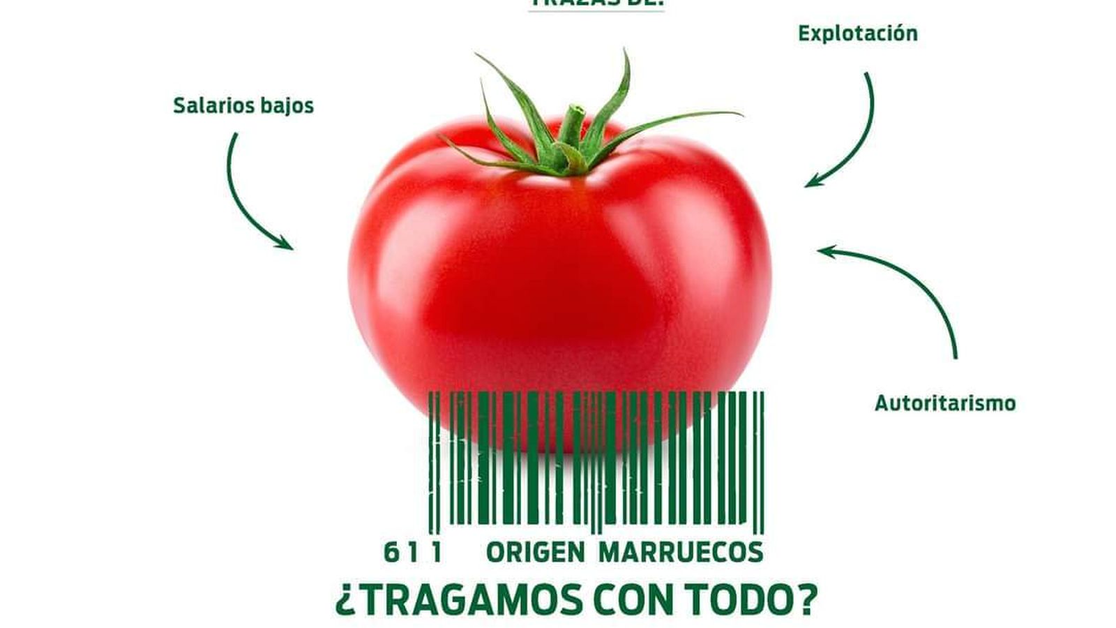 Imagen difundida en la campaña 'Origen Marruecos' emprendida por Coexphal (611 es el código origen Marruecos)