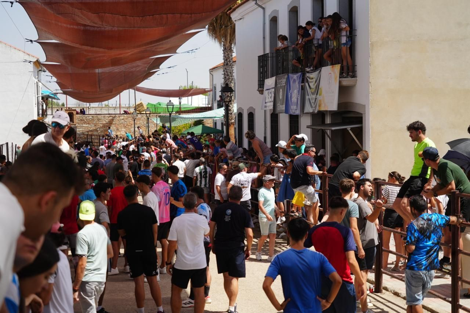 Las mejores imágenes del Día del Caballo y las Sevillanas de Dos Torres
