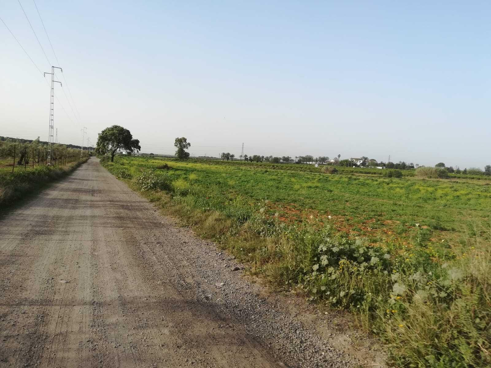 Fotos de la ruta Umbrete-Ermita de Cuatrovitas