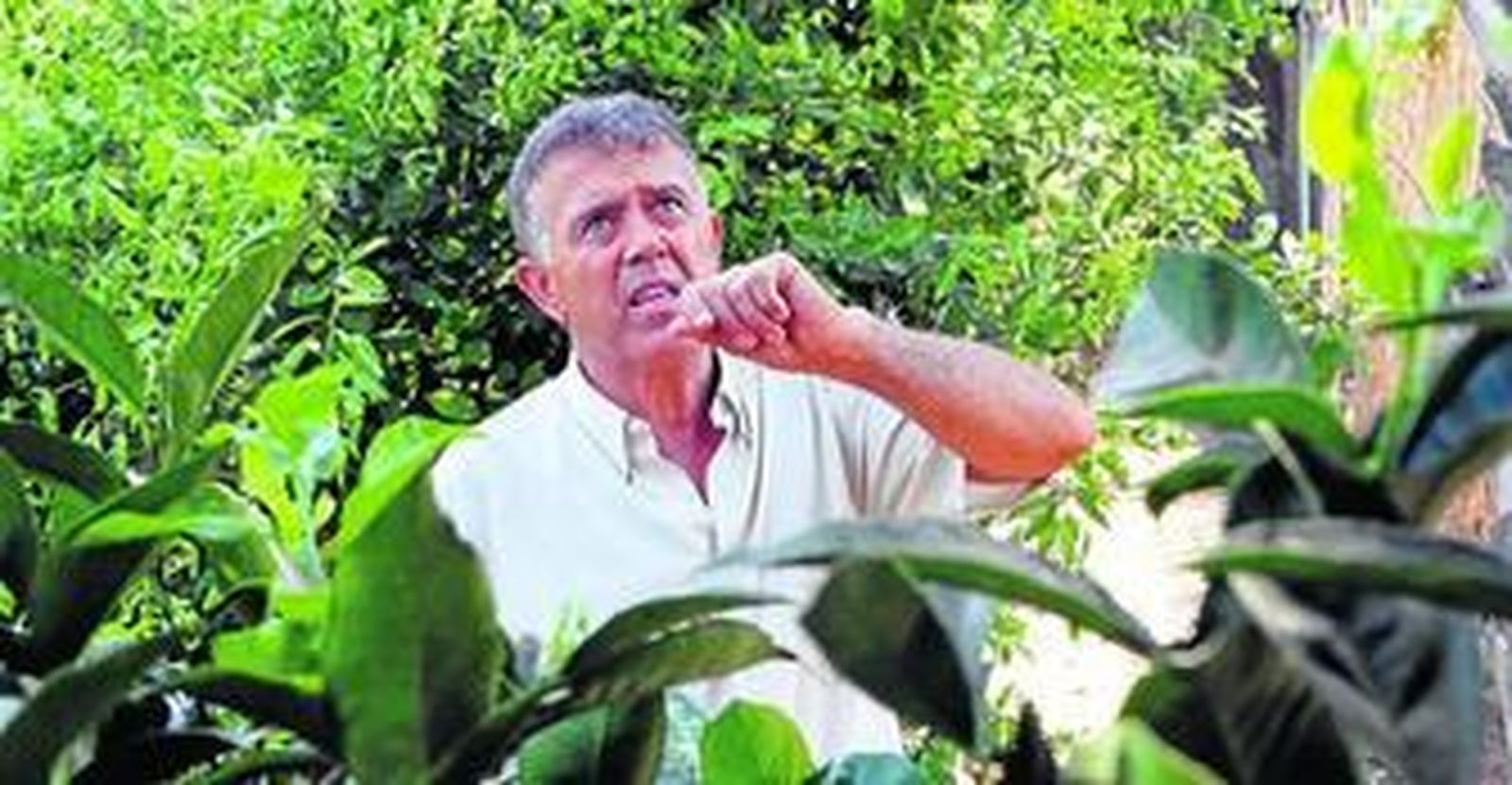 Francisco Gómez lleva toda su vida dedicado al campo y es un auténtico enamorado y acérrimo defensor de la naturaleza.