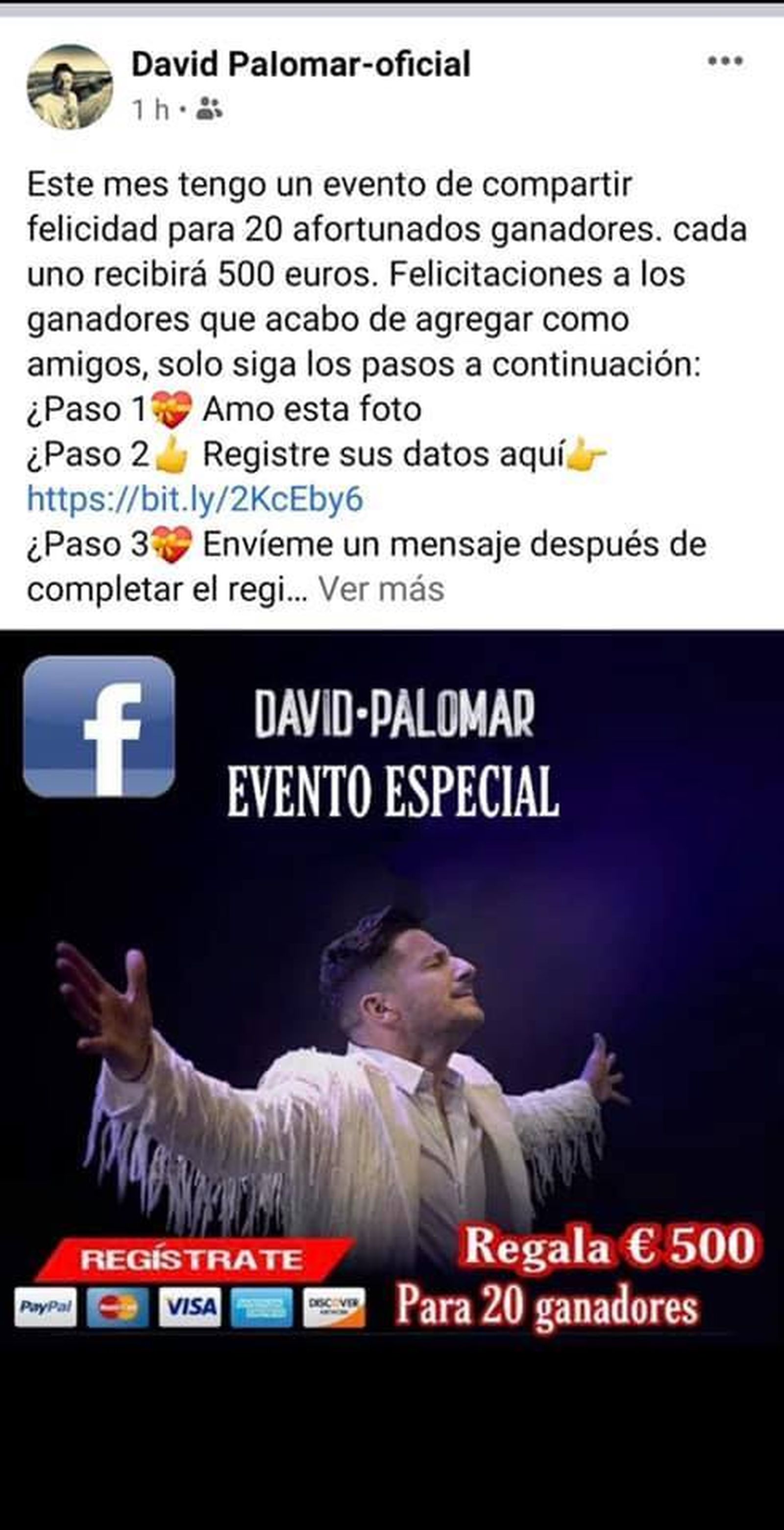 El anuncio en el perfil falso de David Palomar.