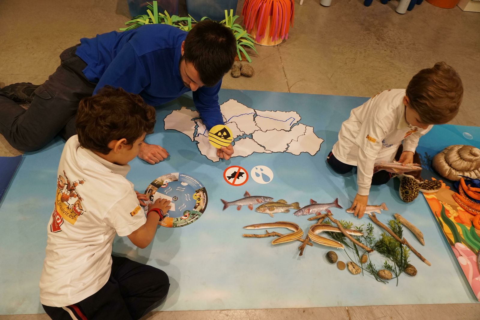 Día de Andalucía, un puente festivo para vivirlo en el Acuario.