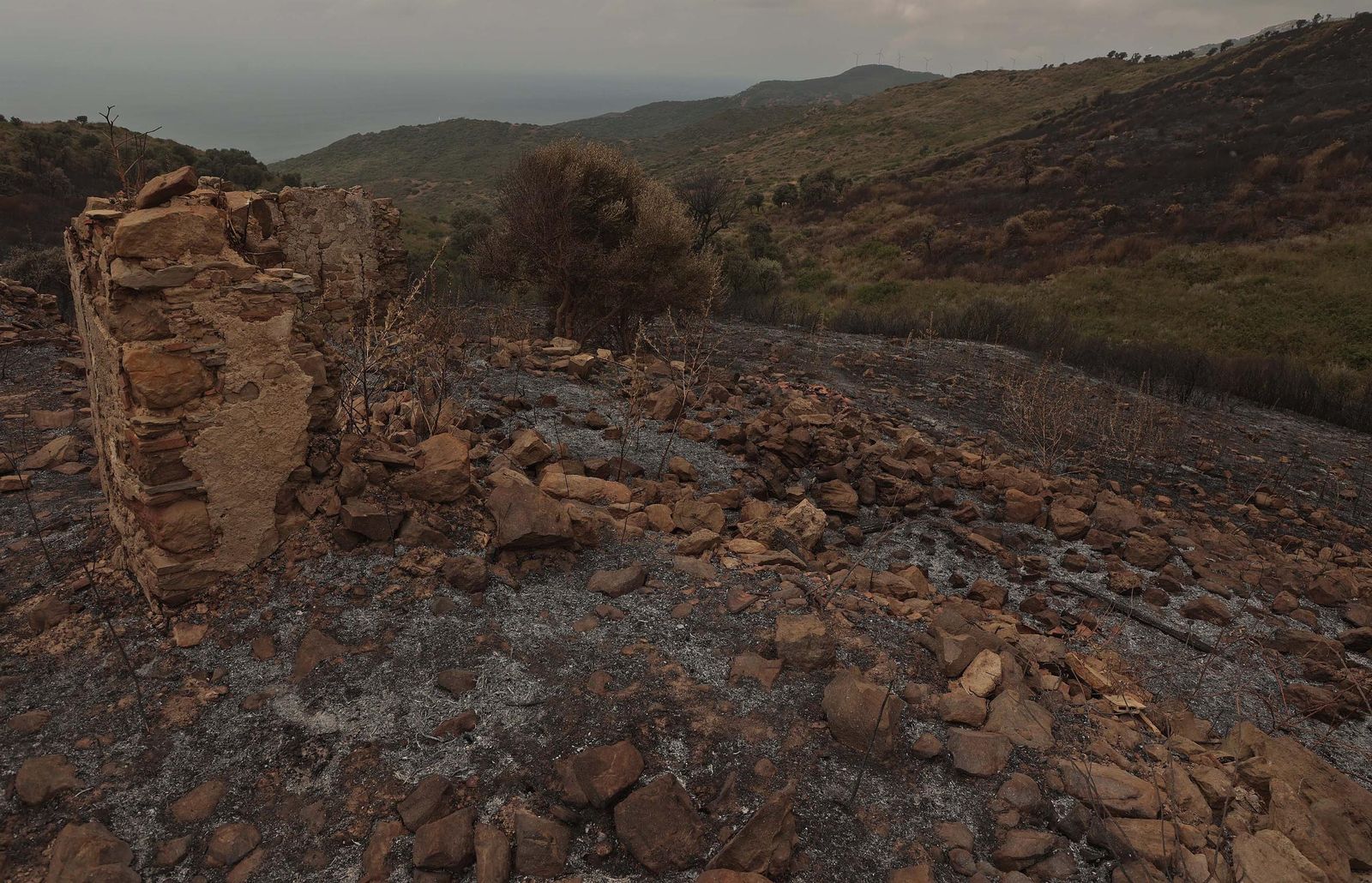 Fotos de los efectos del incendio en el Puerto del Laurel en Algeciras