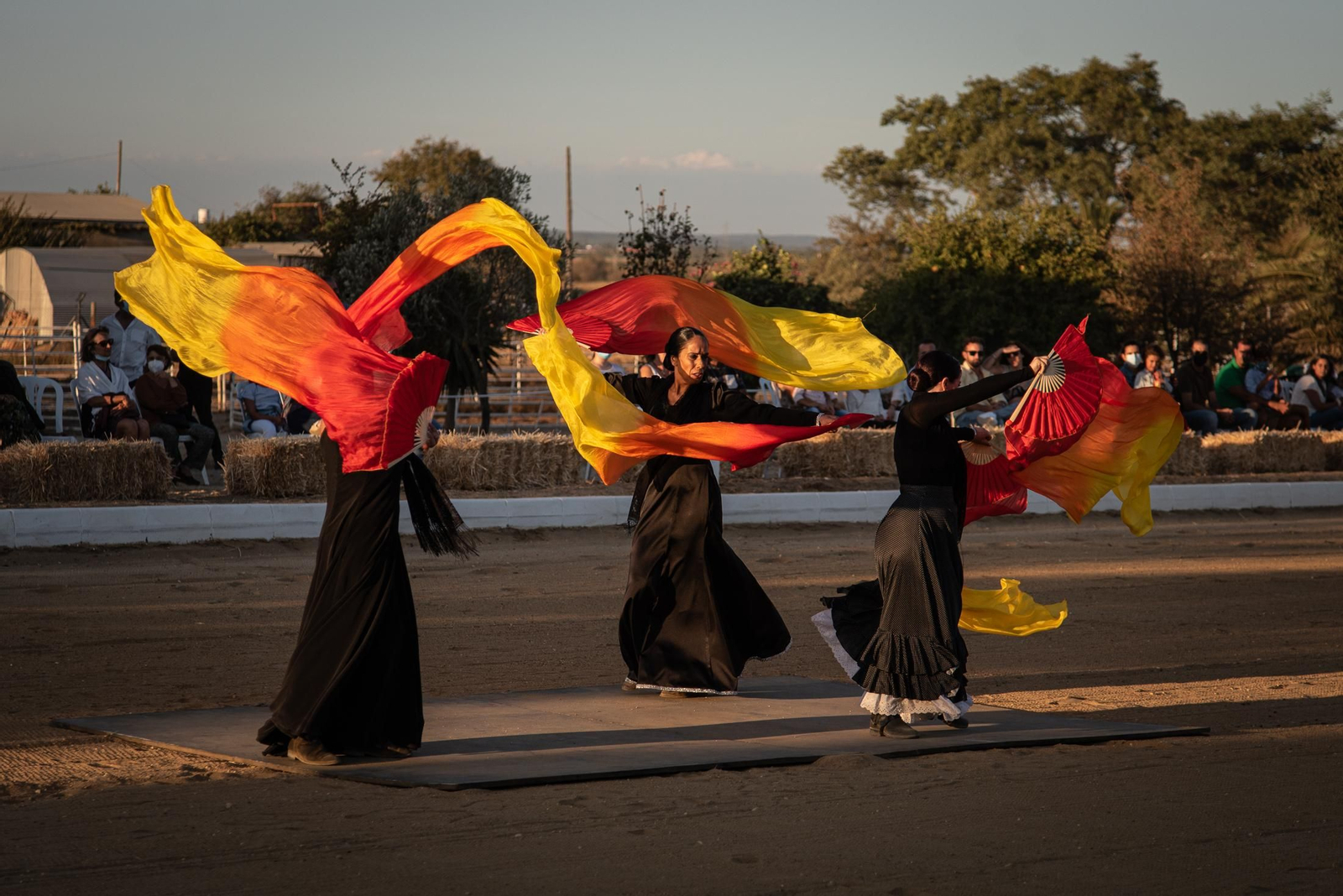 El espectáculo Flamencab en imágenes