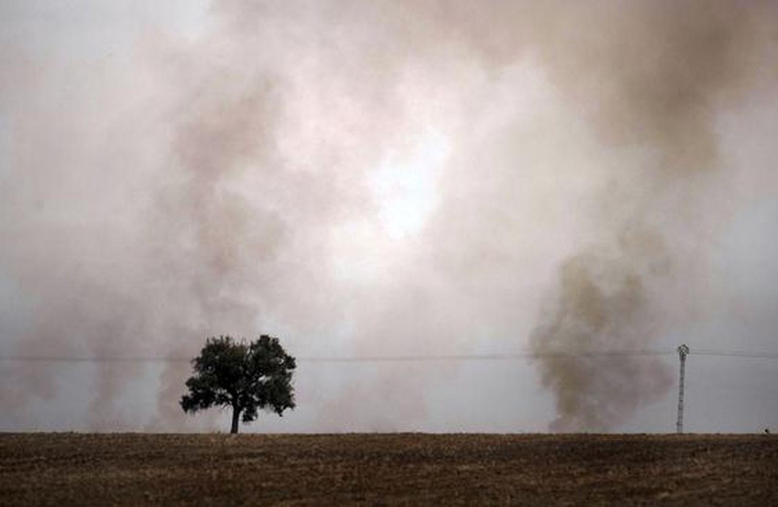 Humo de la quema de rastrojos a las espaldas de la laguna.

Foto: Fito Carreto