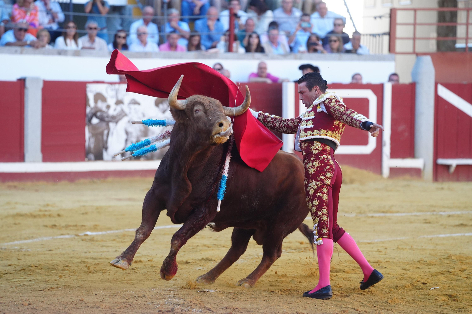 El triunfo de Rocío Romero, Manzanares y Roca Rey en la plaza de toros Pozoblanco, en imágenes