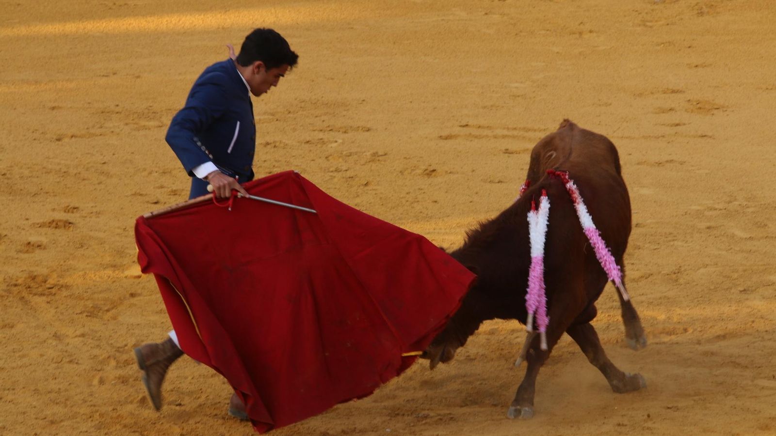 Alejandro González lidió al tercero.