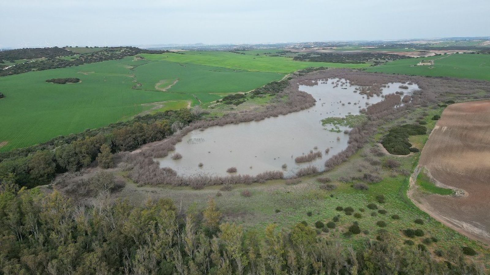 Laguna del Comisario, en el término de Puerto Real.