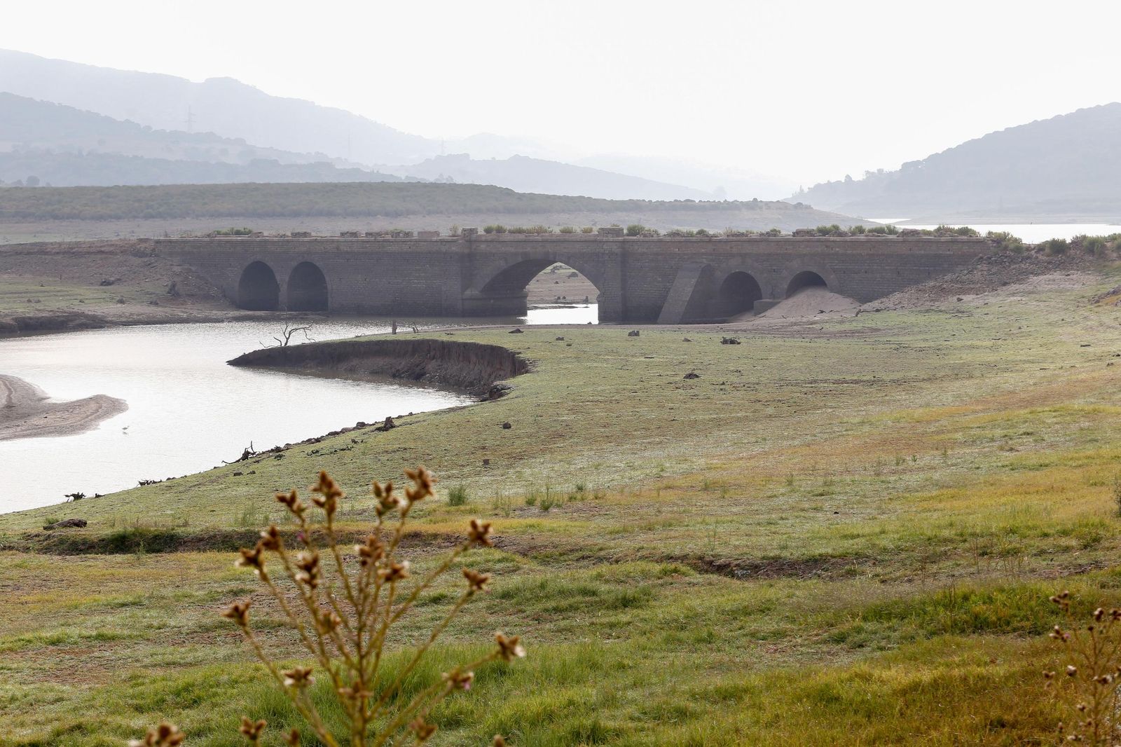 Fotos del estado del pantano de Charco Redondo en Los Barrios