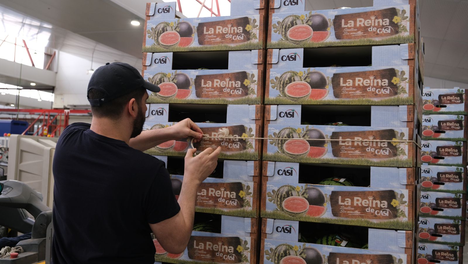 La IA llega a CASI, en imágenes