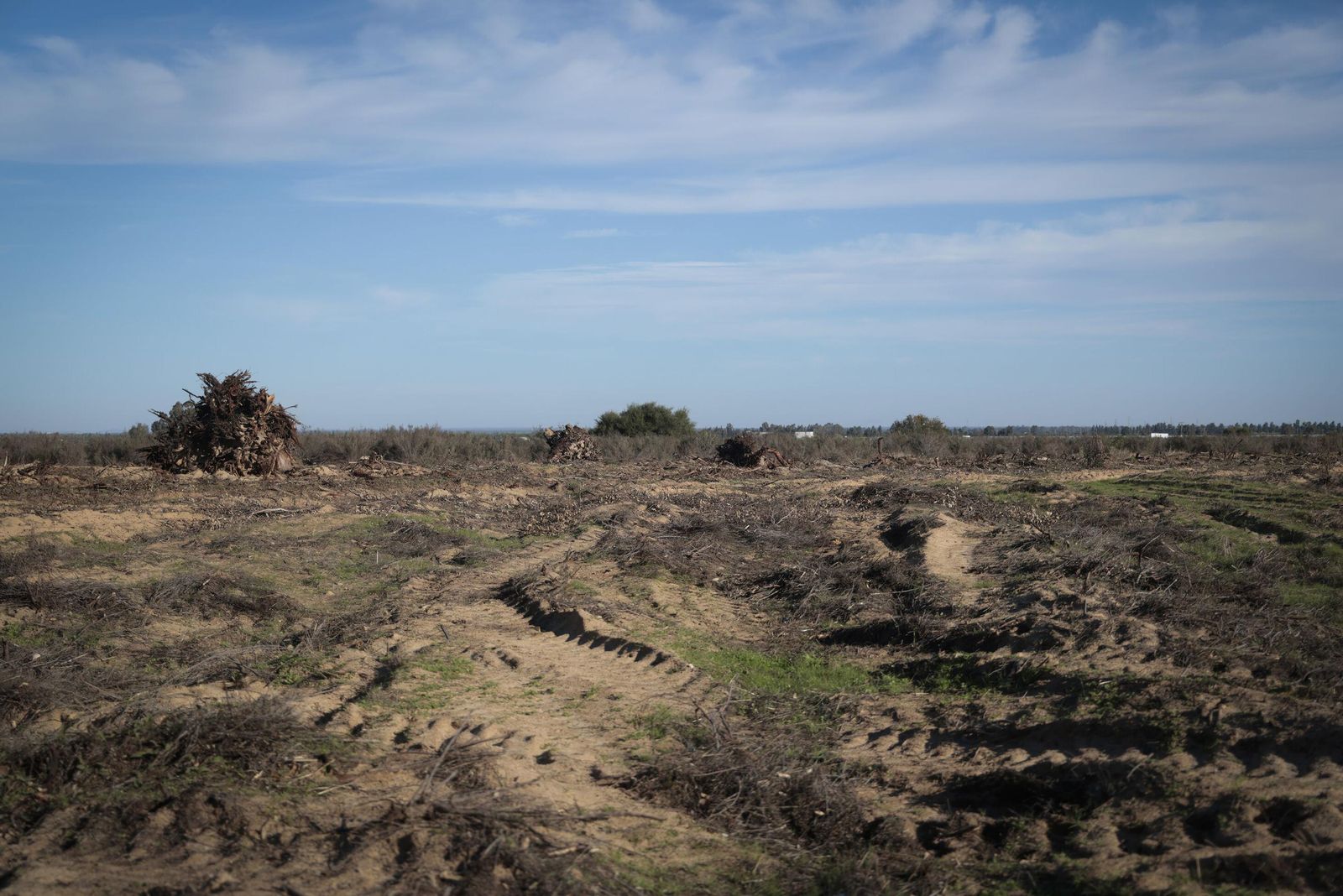 La renaturalización de Los Mimbrales: imágenes de la transformación del espacio natural