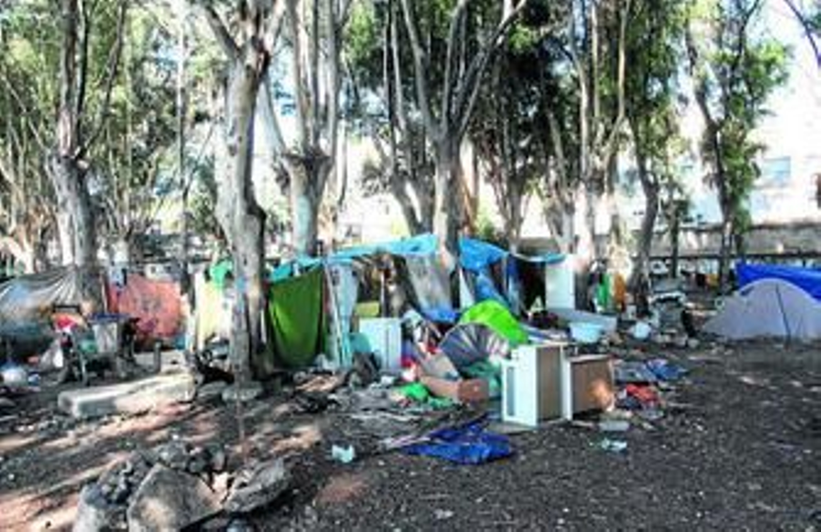 Las tiendas levantadas por los acampados en la zona de eucaliptos de los Baños del Carmen.