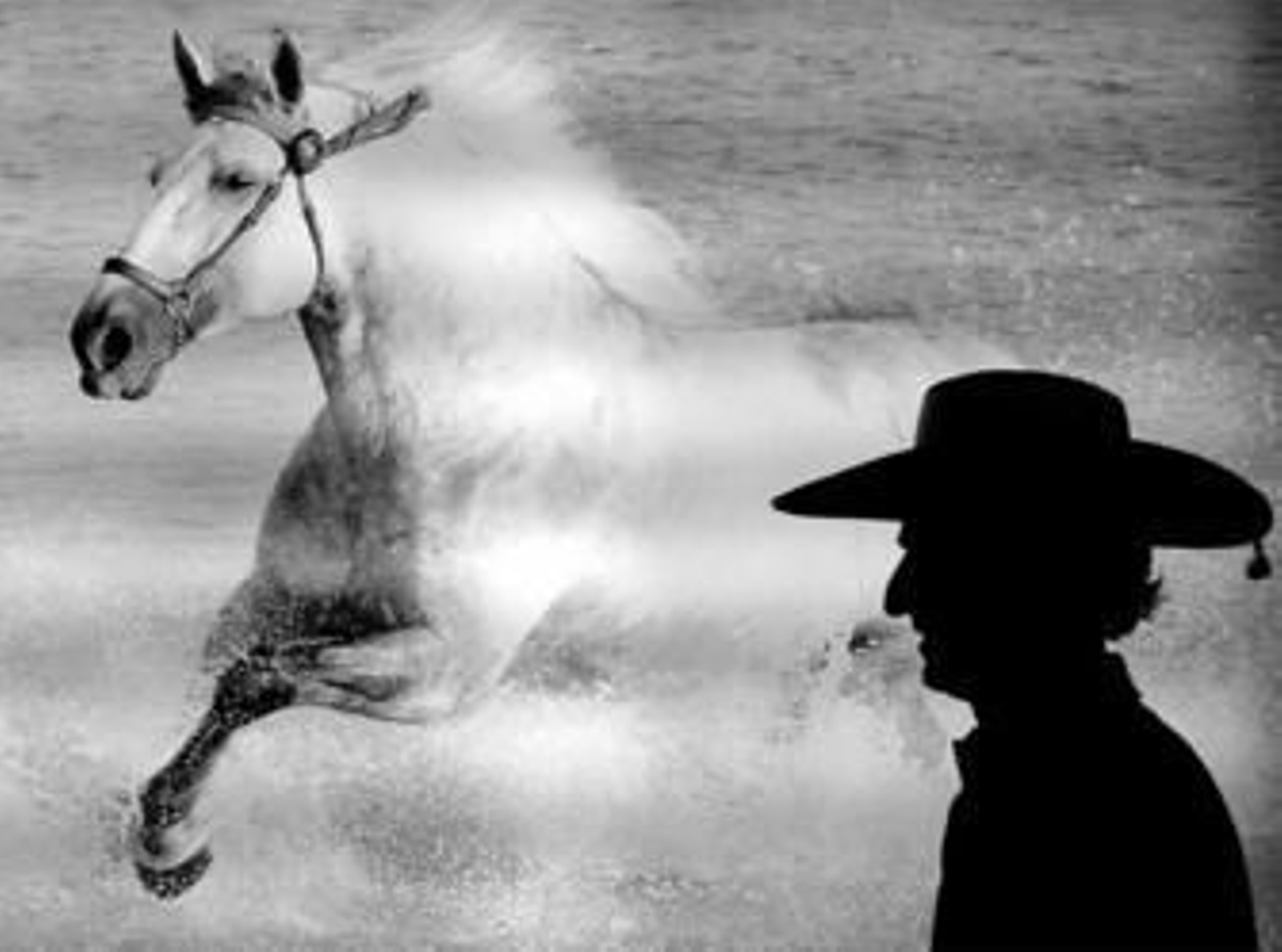 Un visitante pasa ante uno de los carteles anunciadores del pasado Salón Internacional del Caballo.