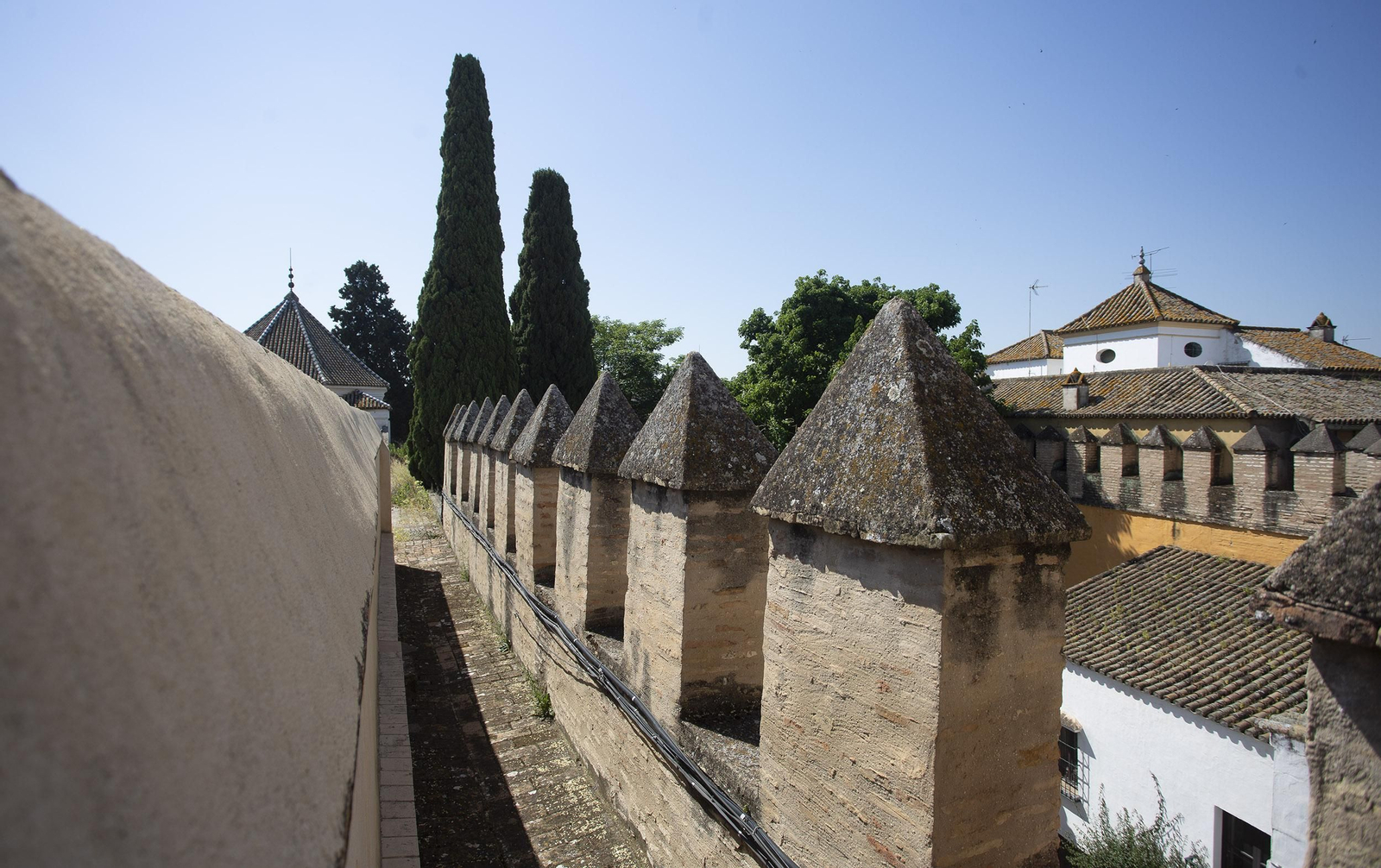 Los restos del primer palacio del Alcázar de Sevilla, en fotos