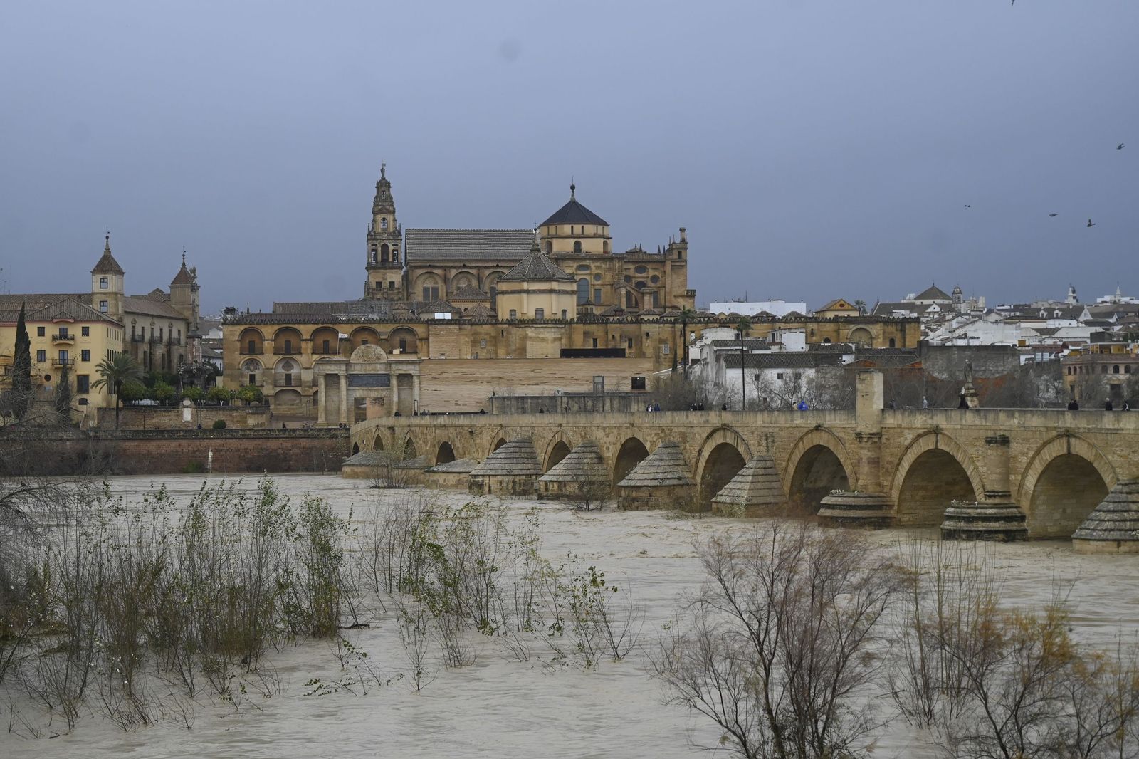El río Guadalquivir supera los cuatro metros de altura a su paso por Córdoba, en imágenes