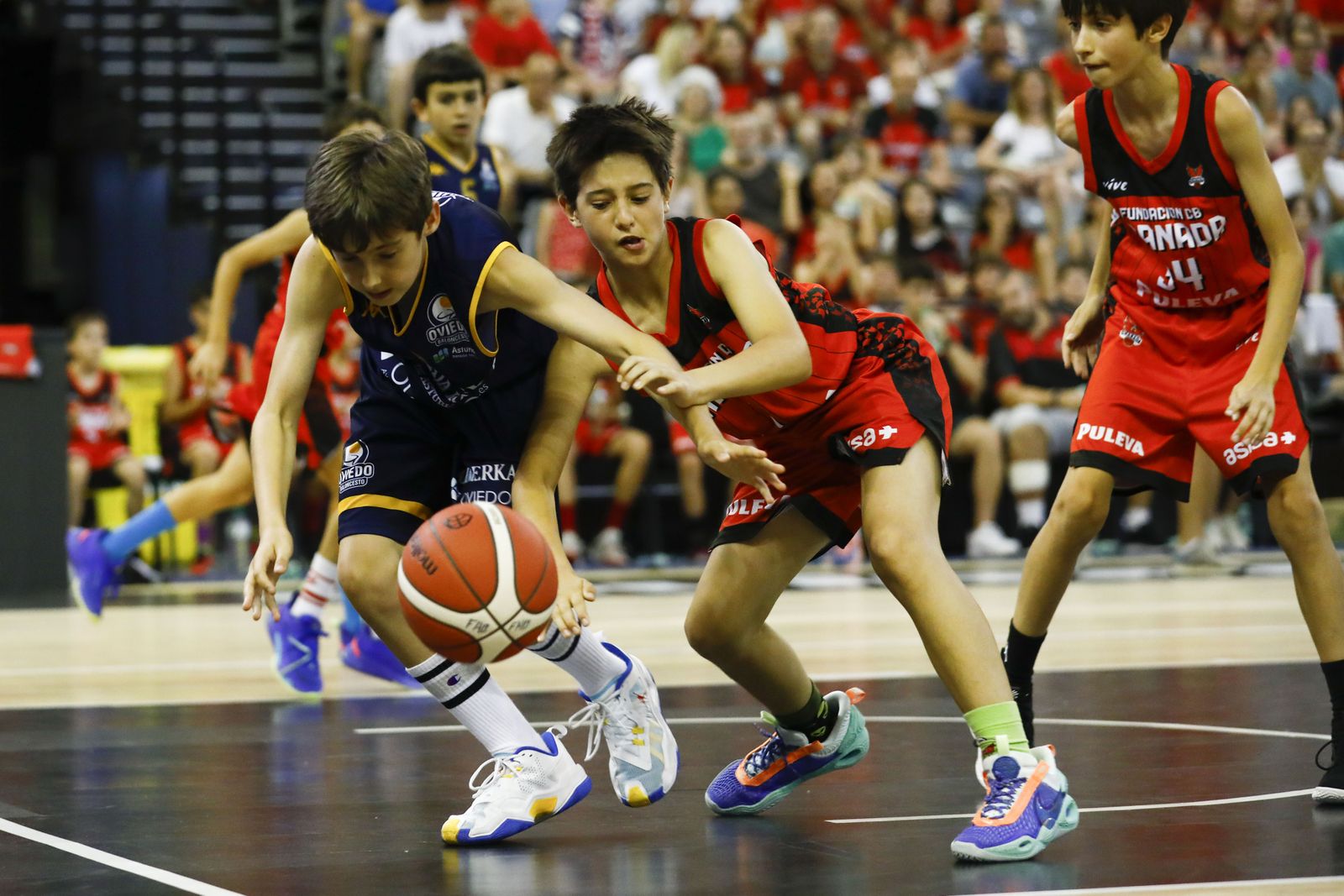 Encuéntrate en el partido de minibasket del Fundación CB Granada