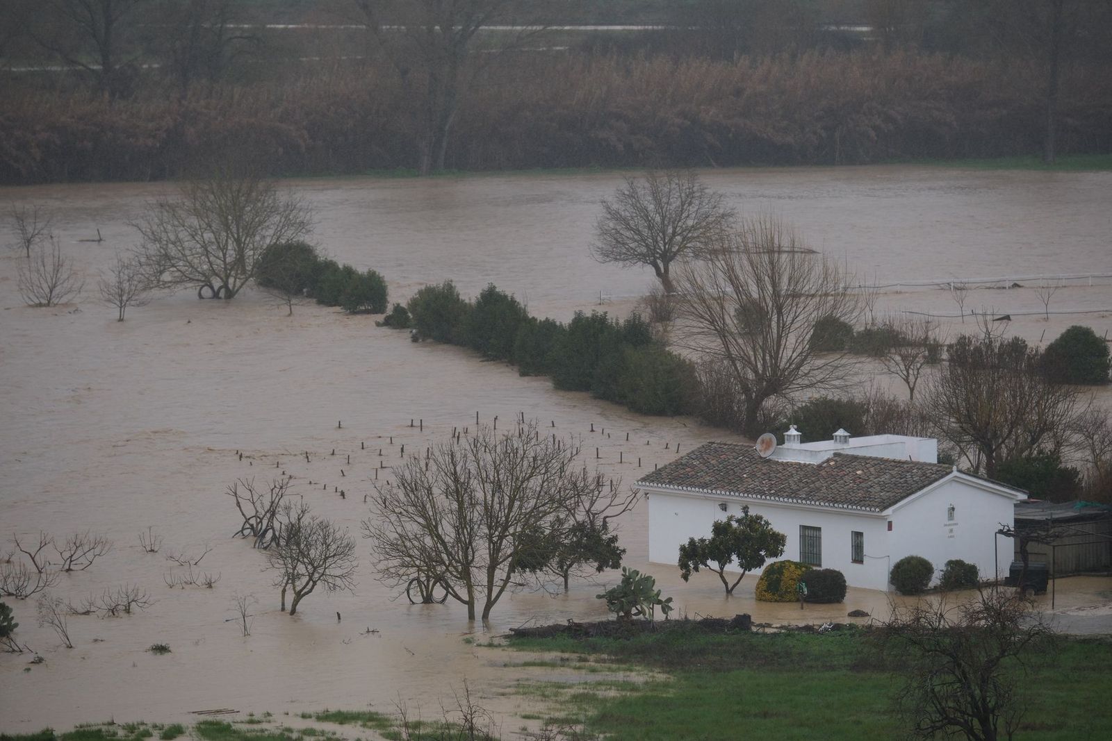 Desalojos en la Serranía de Ronda por el desbordamiento del río Guadiaro.