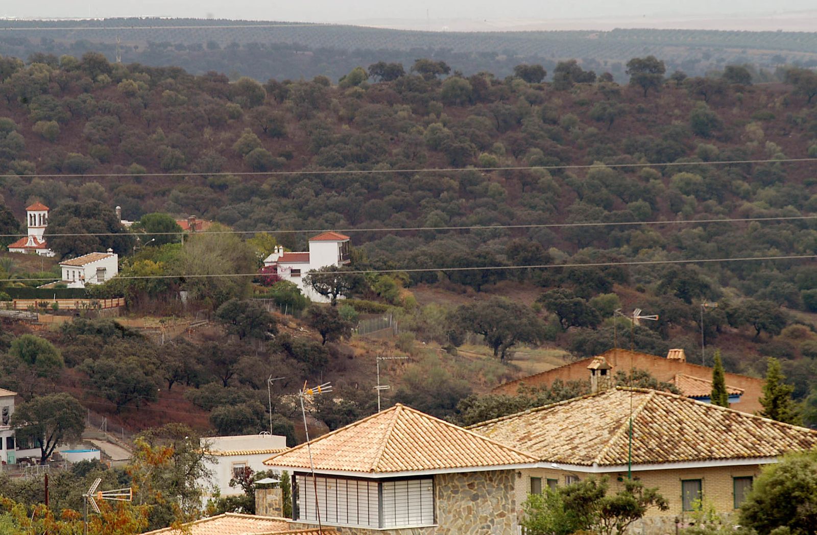 Una imagen de archivo de la urbanización Golf Pajanosas, en una zona de interés forestal.