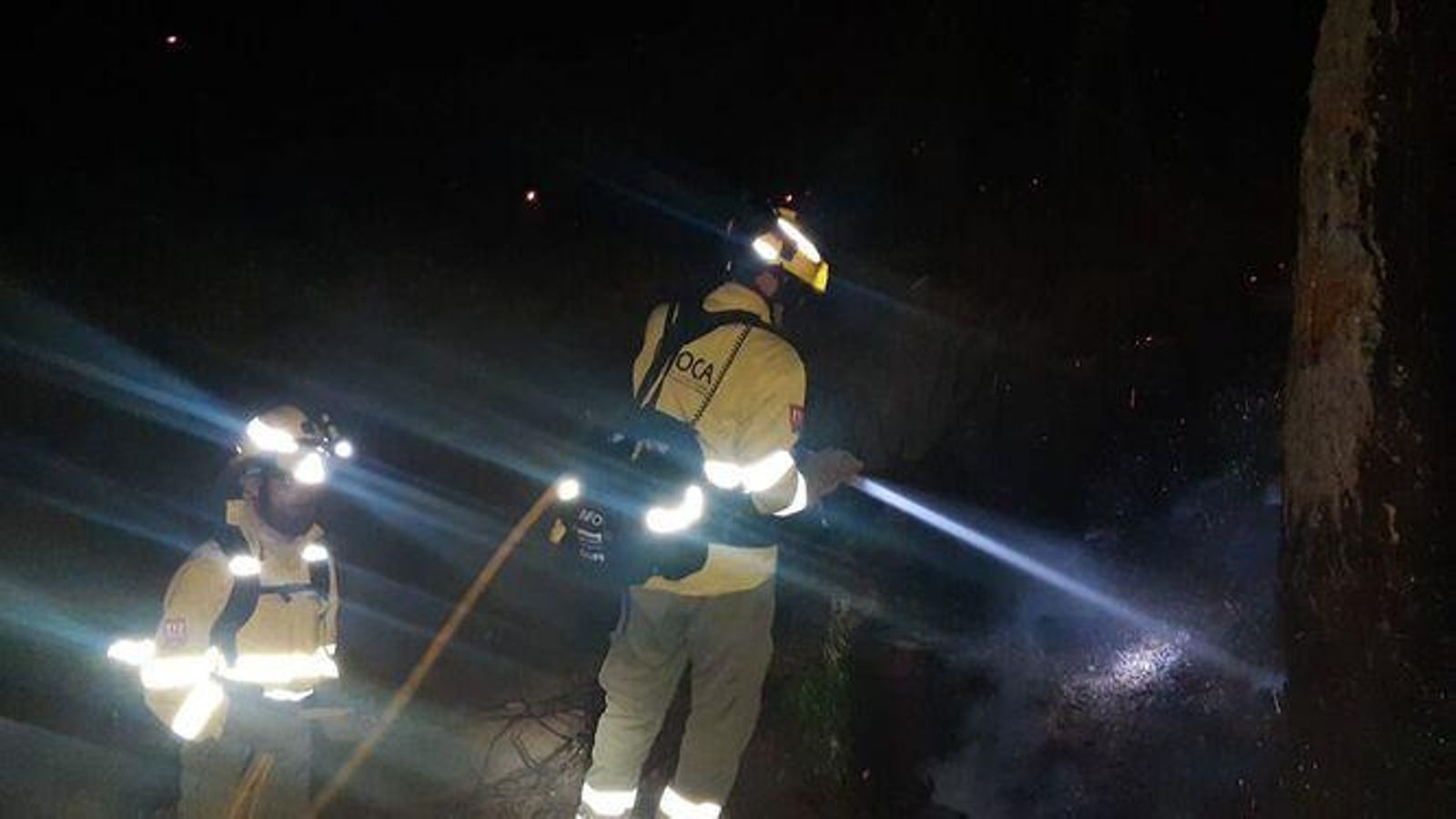 Bomberos sofocan el fuego en Sierra Bermeja Bomberos sofocan el fuego en Sierra Bermeja