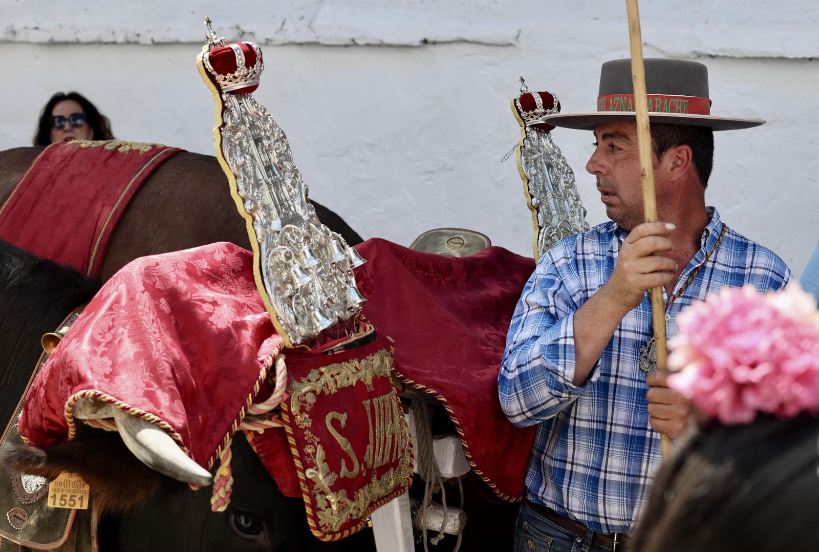 Presentación de las hermandades en Villamanrique