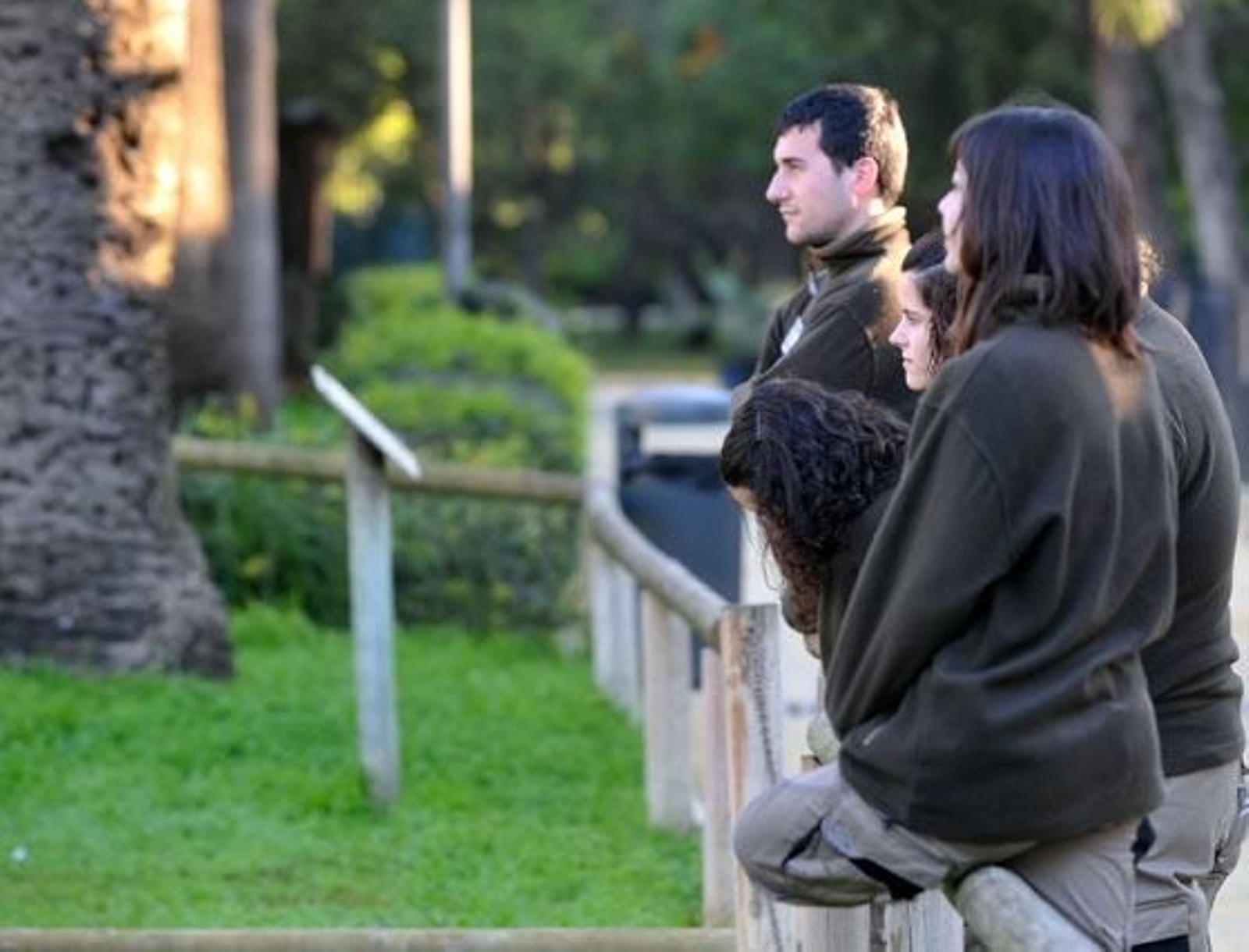 Jerezana, la jirafa de Rothschild nacida en marzo del año pasado en el Zoobotánico de Jerez ha sido trasladada al Parque Zoológico de Valencia para continuar con los trabajos de conservación de dicha especie

Foto: Manuel Aranda