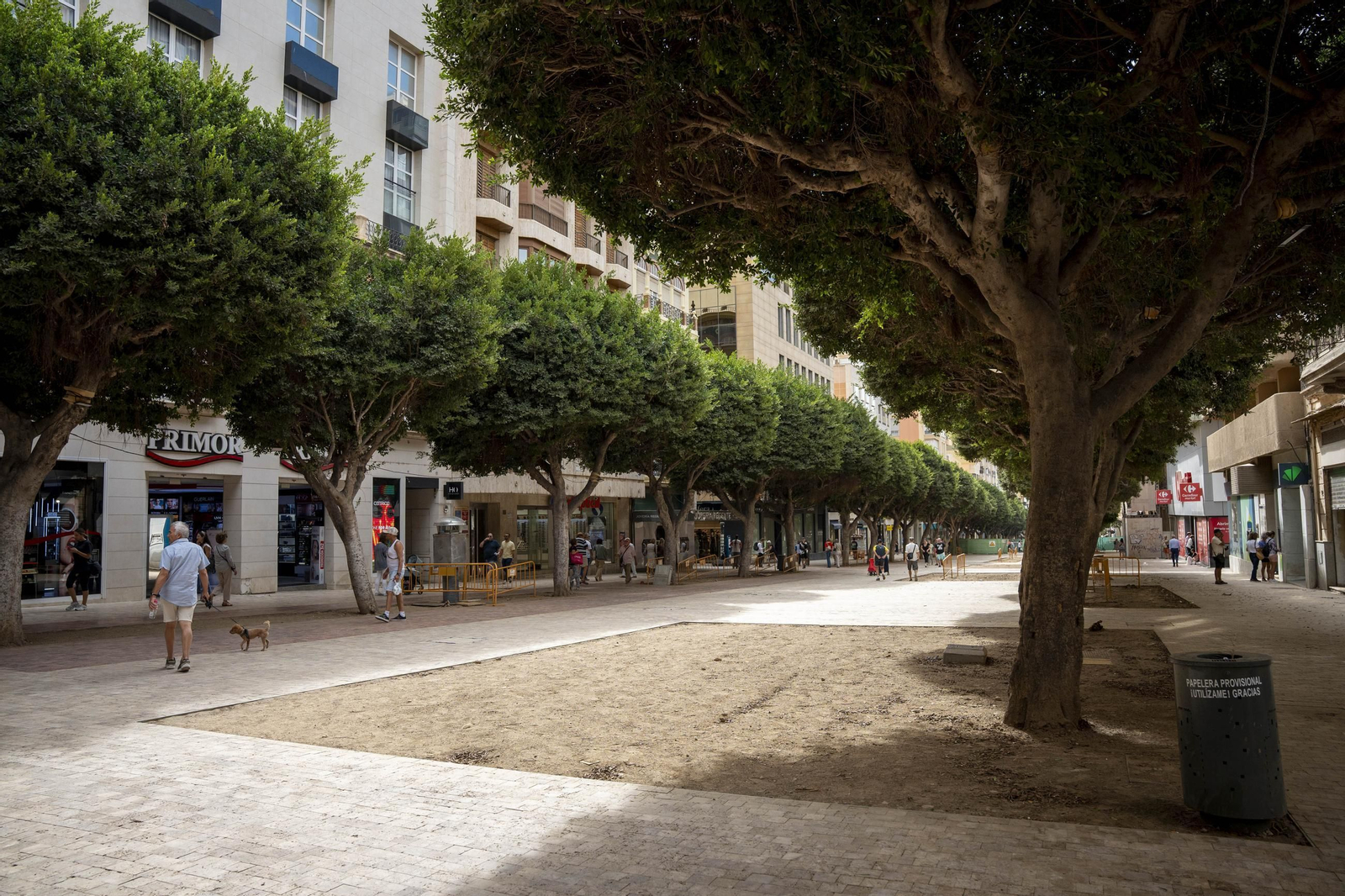 Cortes peatonales por obras en el paseo