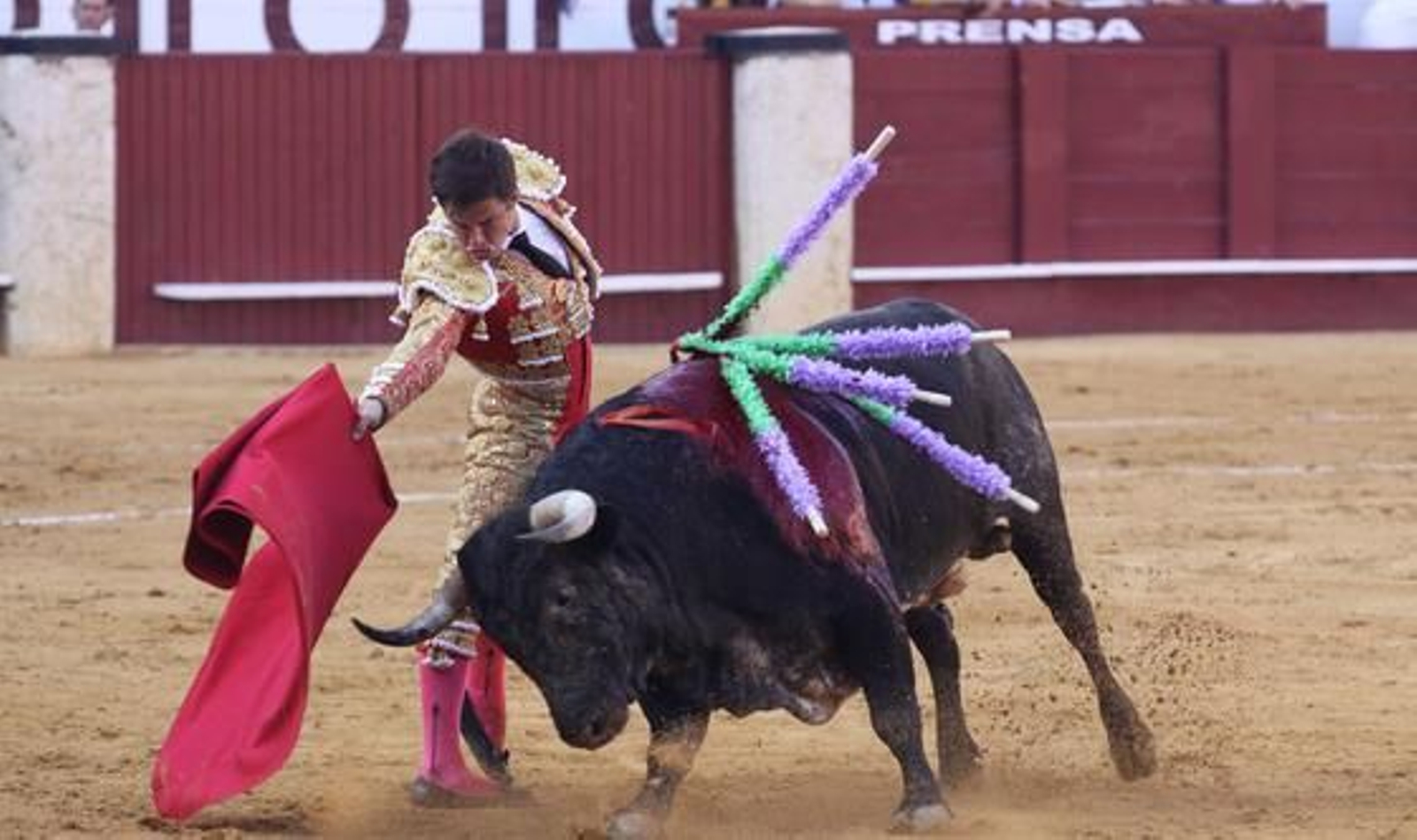 El Juli en la Malagueta

Foto: Javier Albiñana