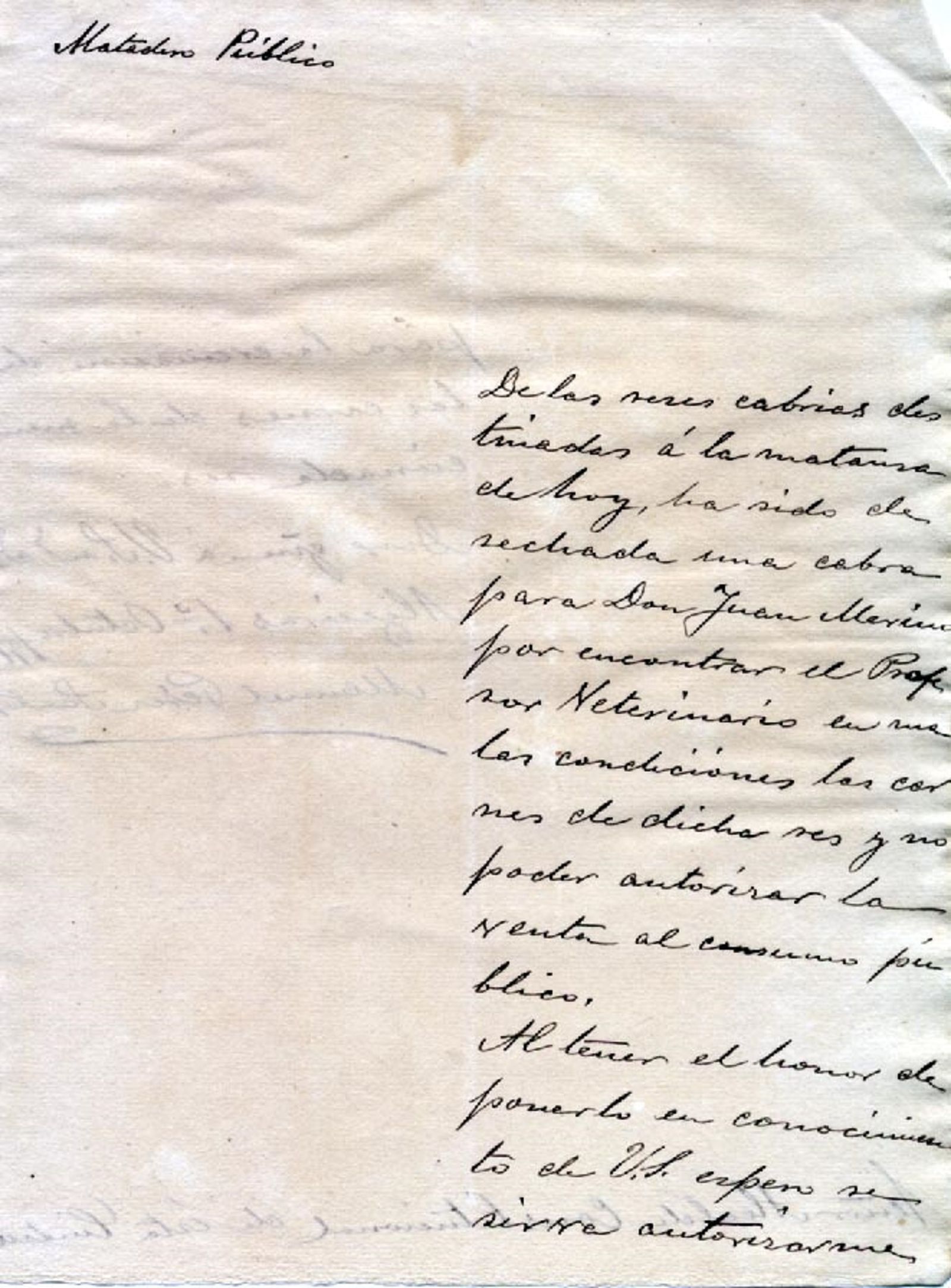 Uno de los informes de rechazo de una res en el matadero municipal de Algeciras.