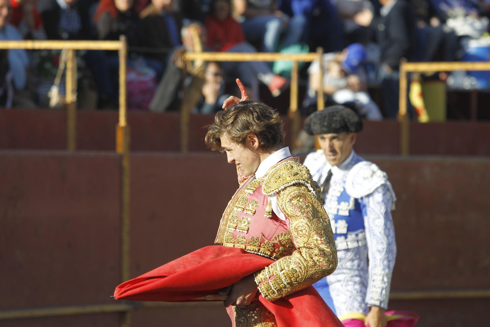 Fotogalería Novillada Fiestas de Abrucena