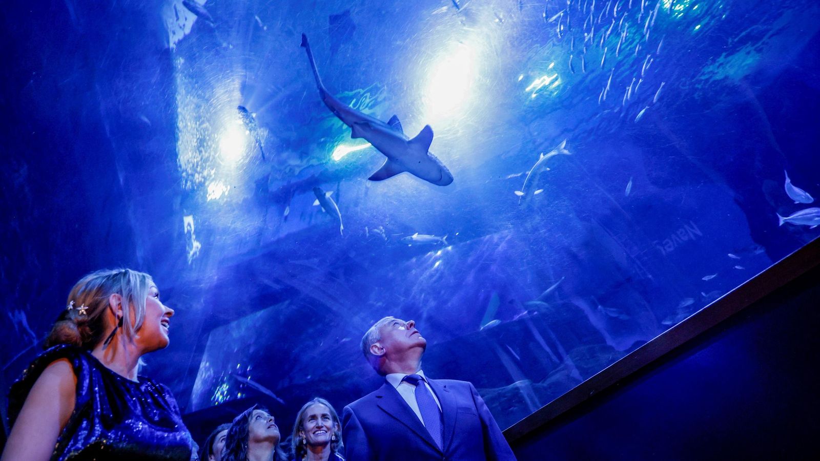 Rocío Alcázar, gerente del Acuario, Catalina García y José Luis Sanz.