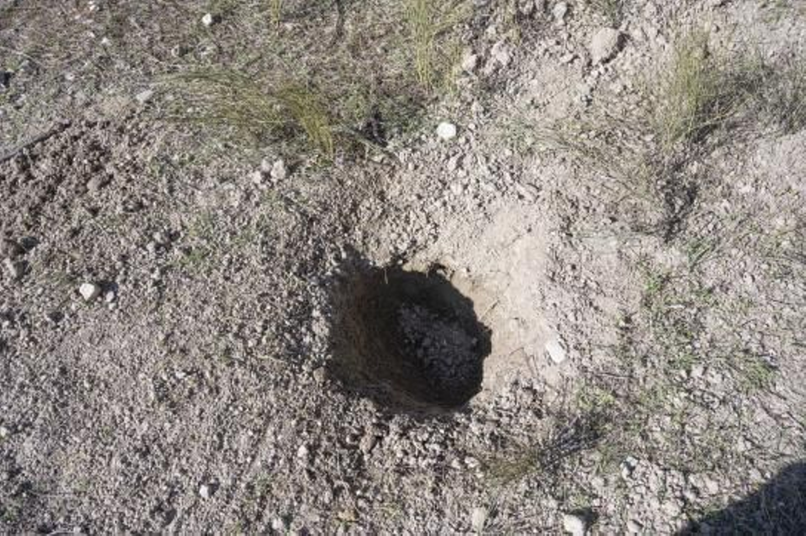 Zona en la que fue encontrada el bebé