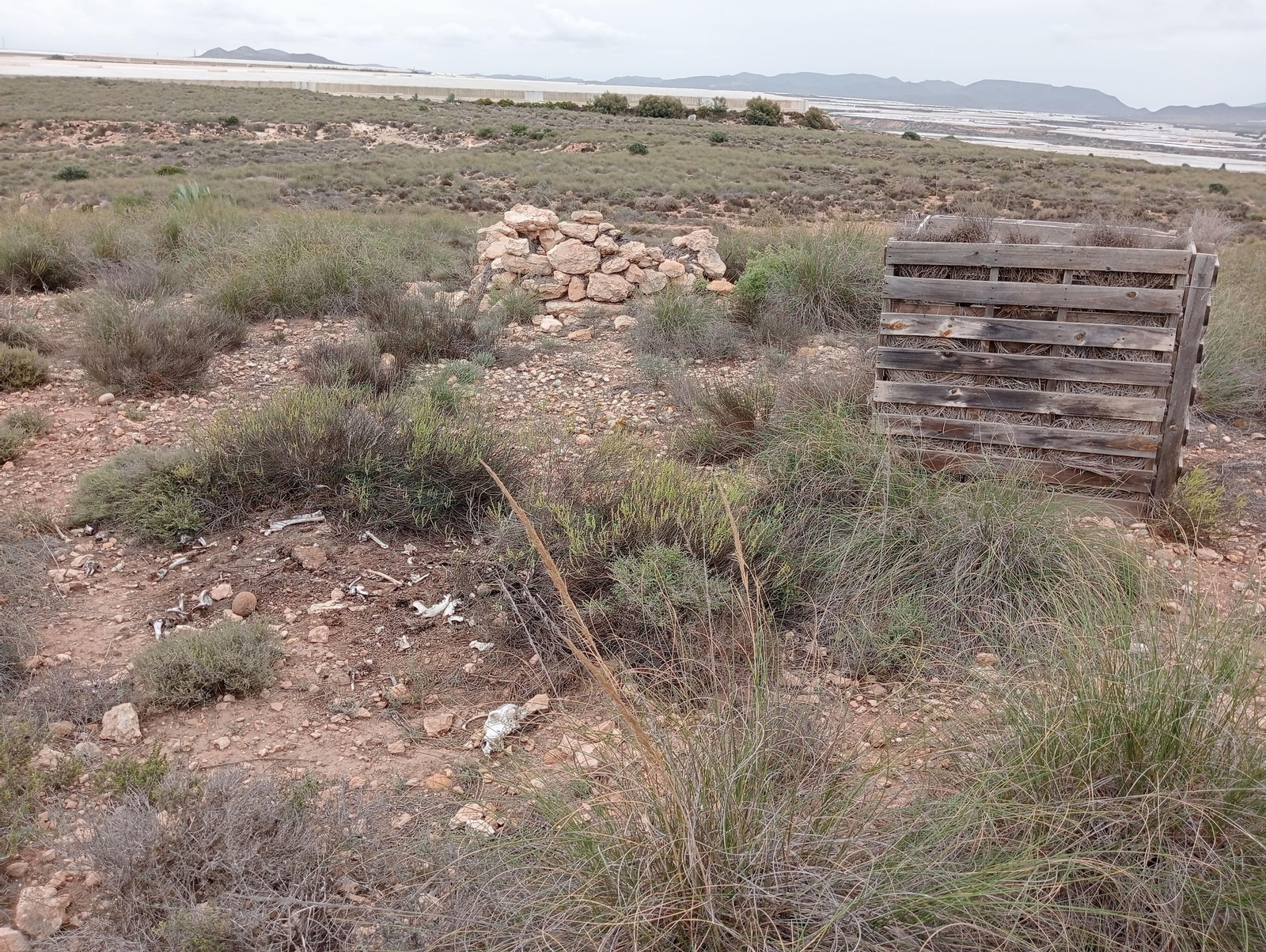 Zona donde se suele cazar la modalidad de perdiz con reclamo