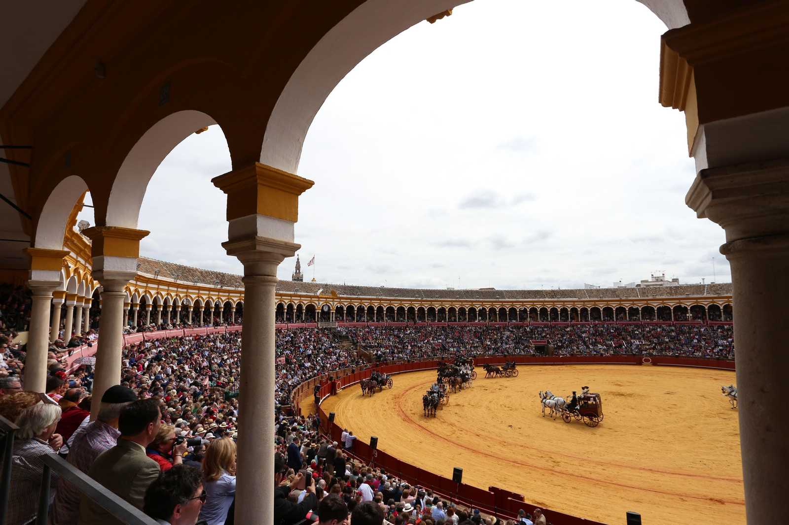 XXXIII Exhibición del Real Club de Enganches de Andalucía en la Maestranza