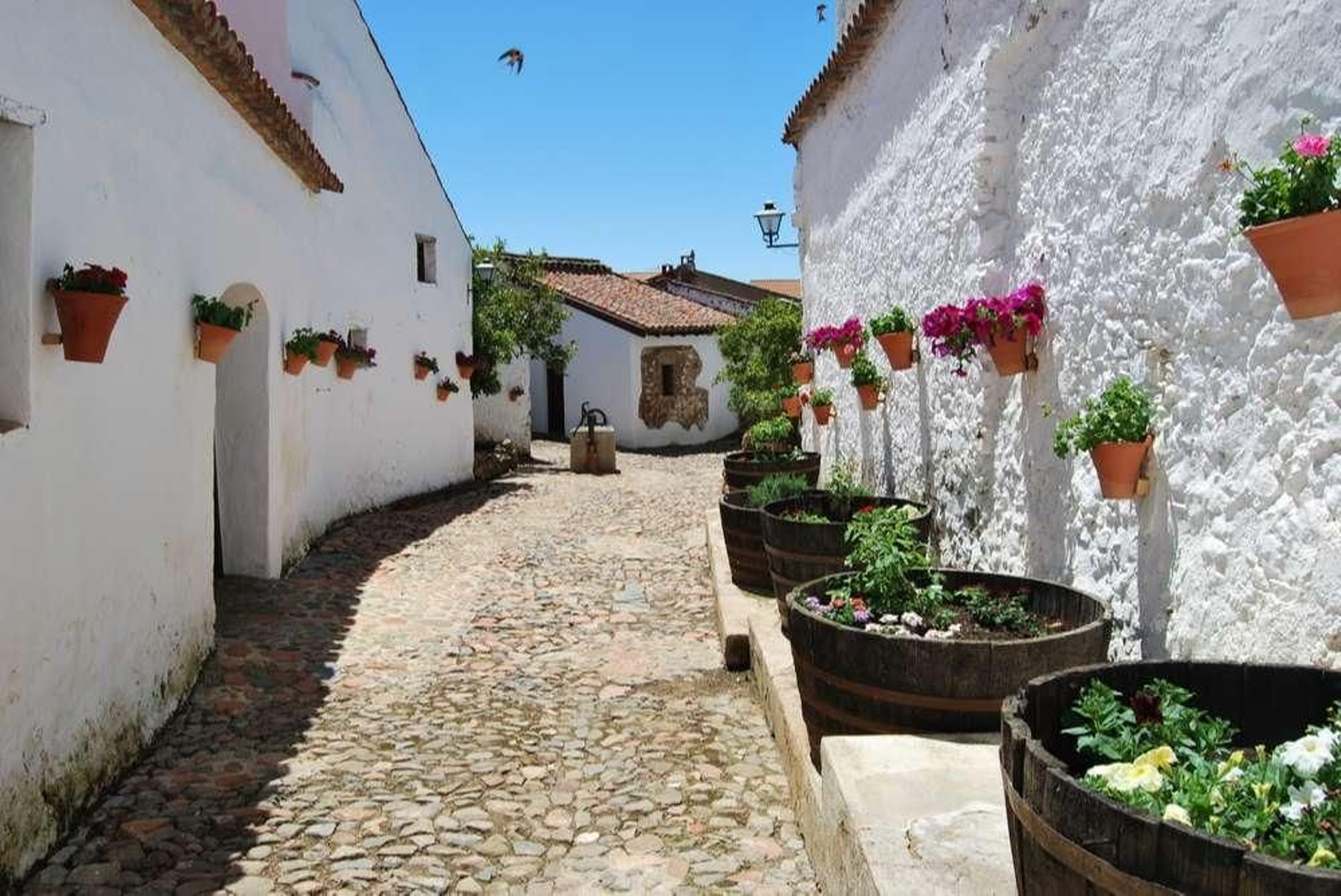 Centro de Artes y Culturas Populares de Villaviciosa de Córdoba.