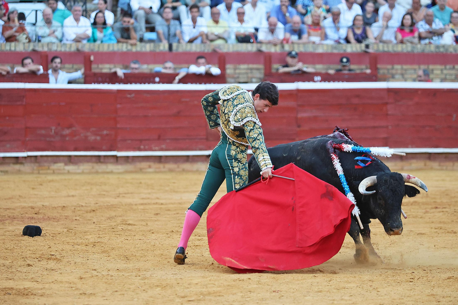 Toros La Merced 2024 Novillada con picadores(