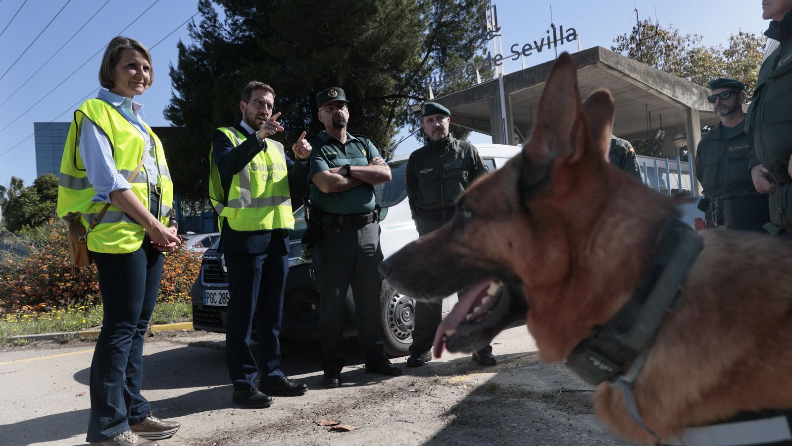 Skip, el pastor alemán que ha realizado este sábado una demostración encontrado un explosivo.
